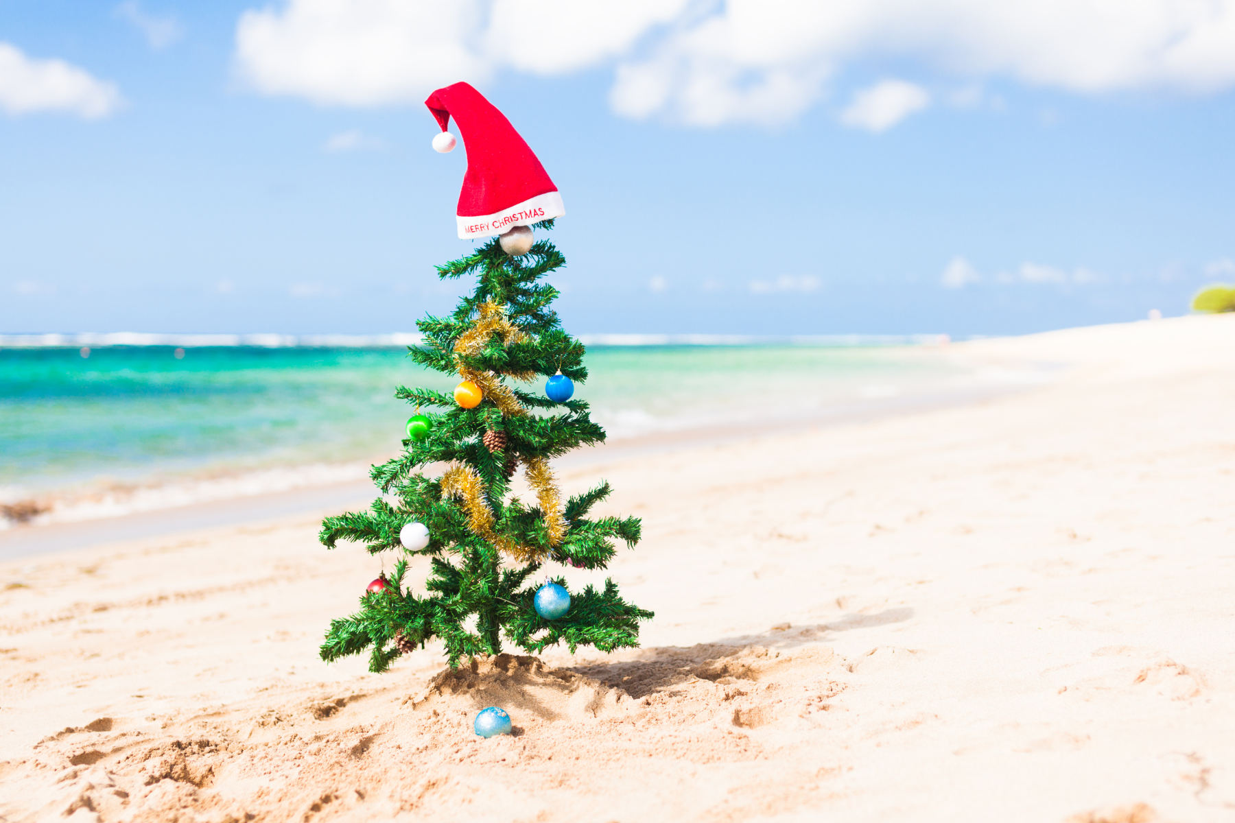 The Gift of Christmas in July