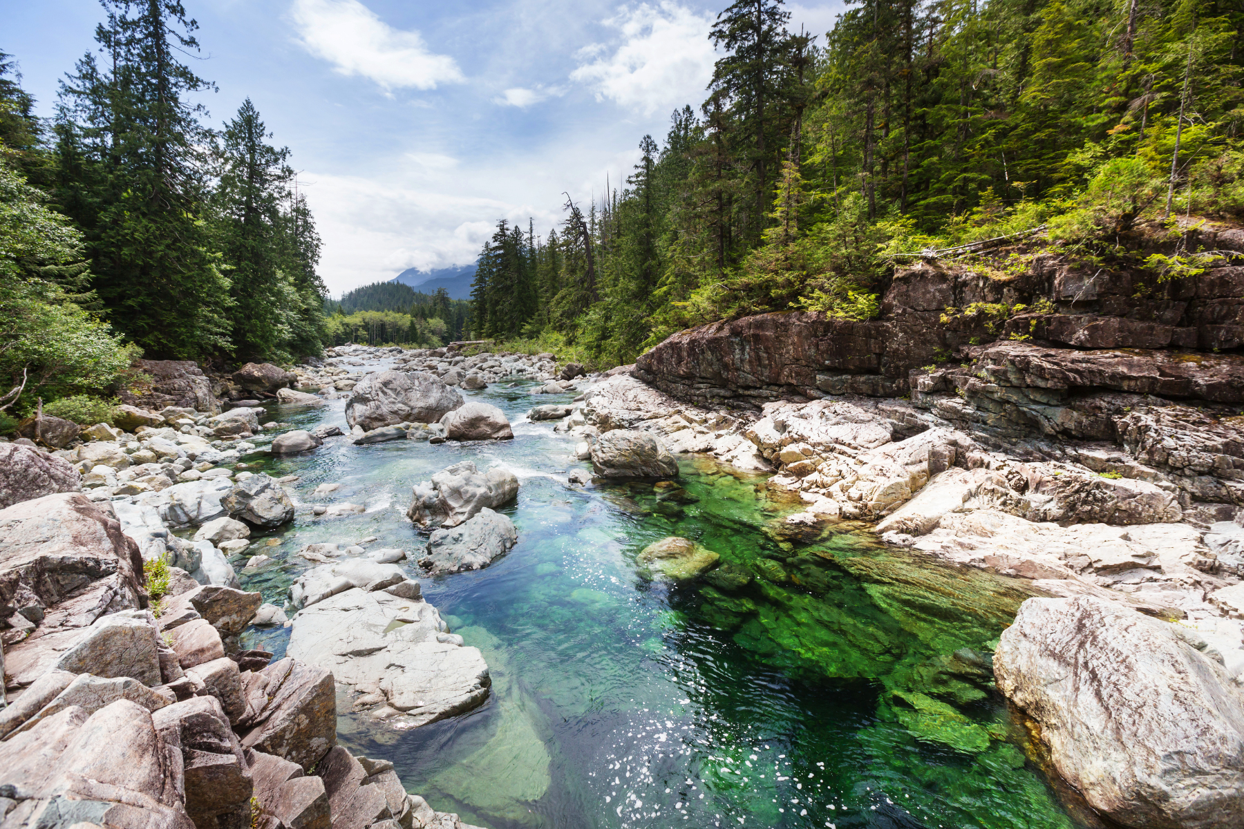 Going With the Flow in a Changing Work World