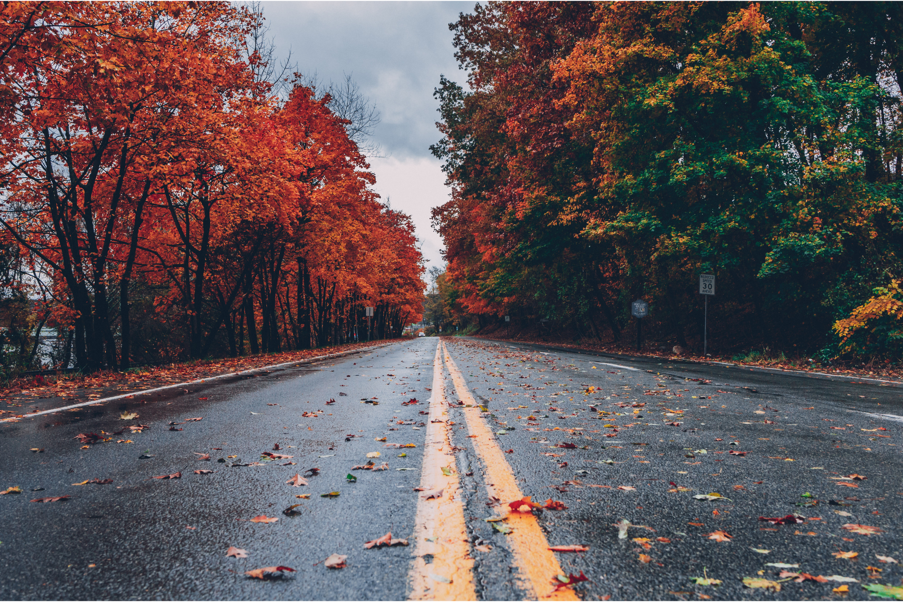Turning Over a New Leaf in the New Work World