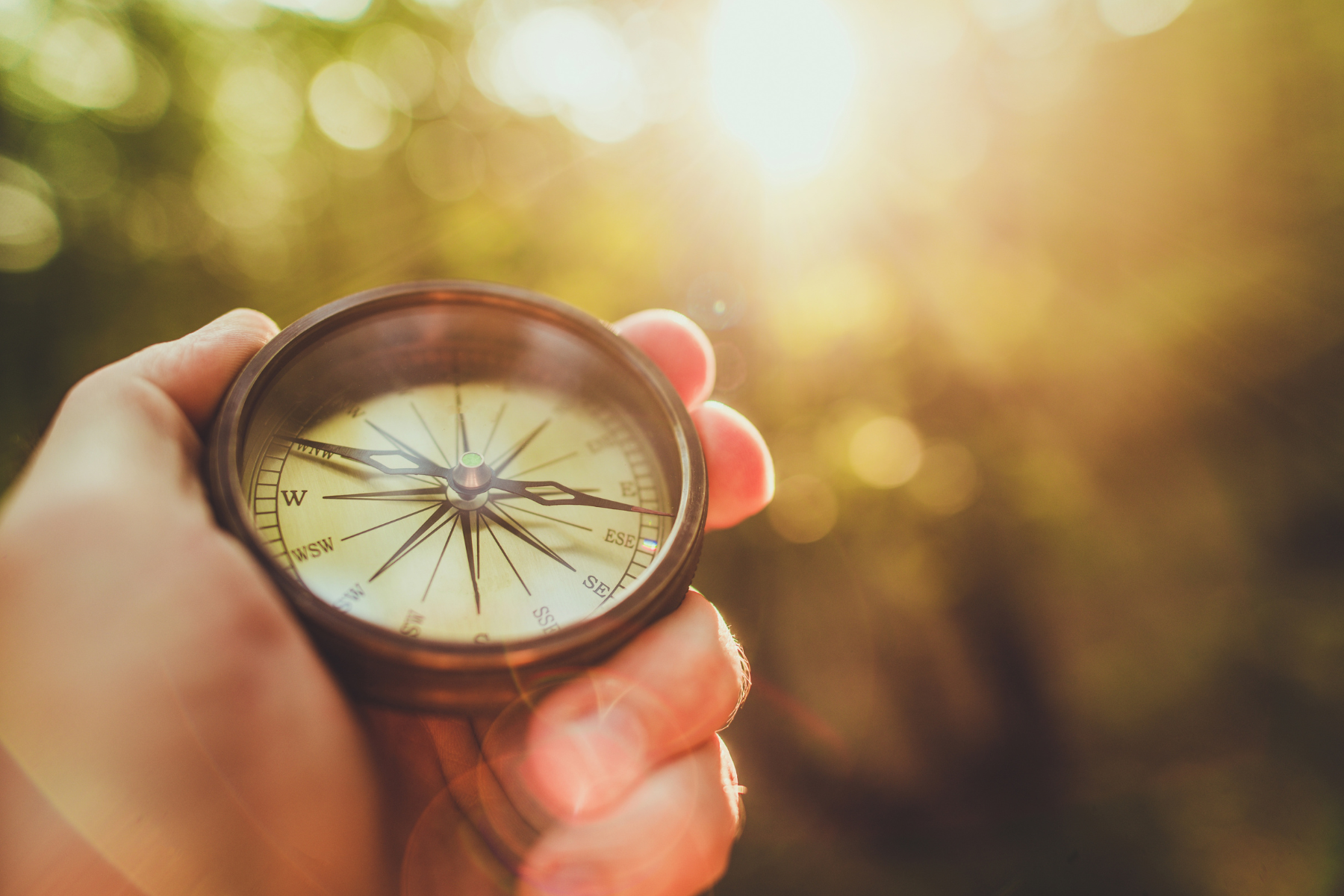 Finding Your Way Home: How Our Roots Can Guide Our Careers