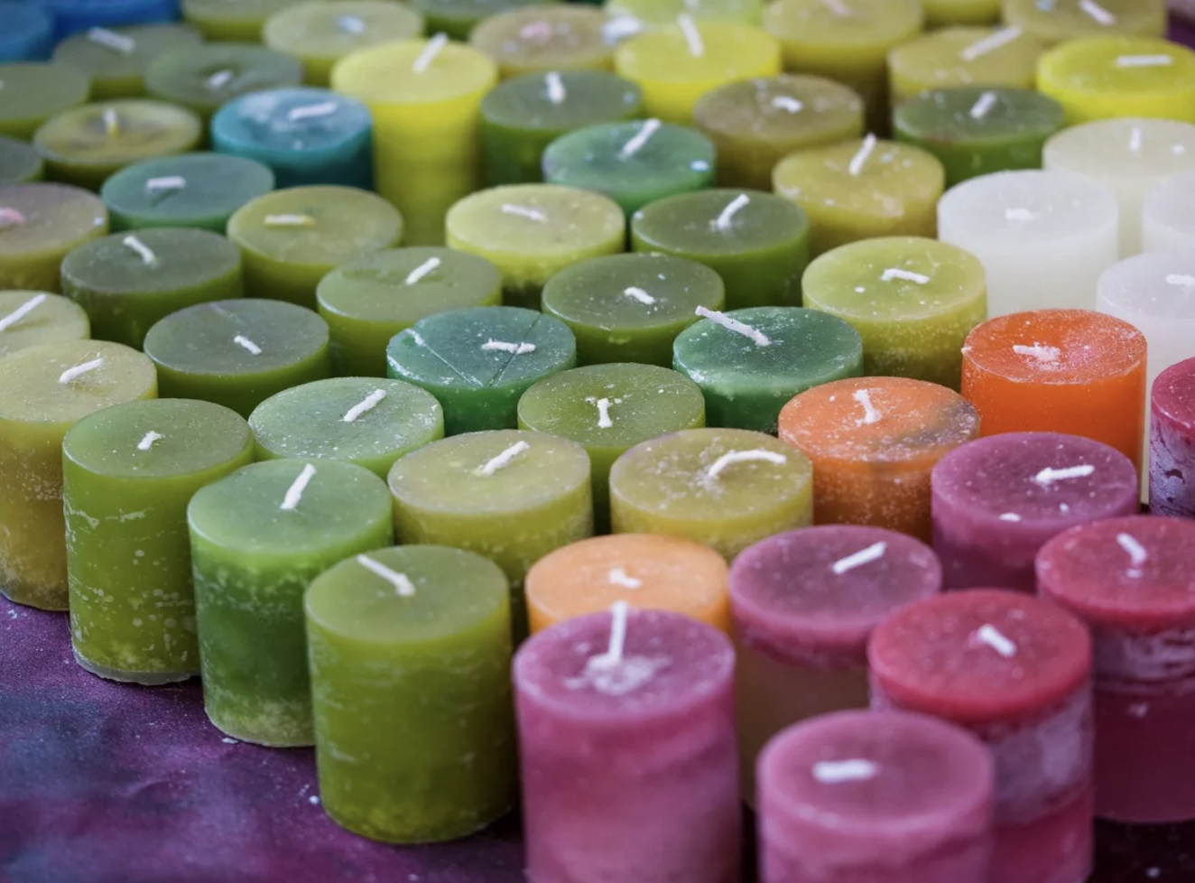 A Dog’s Extraordinary Sense of Smell, And Scent Likes And Dislike — Dog