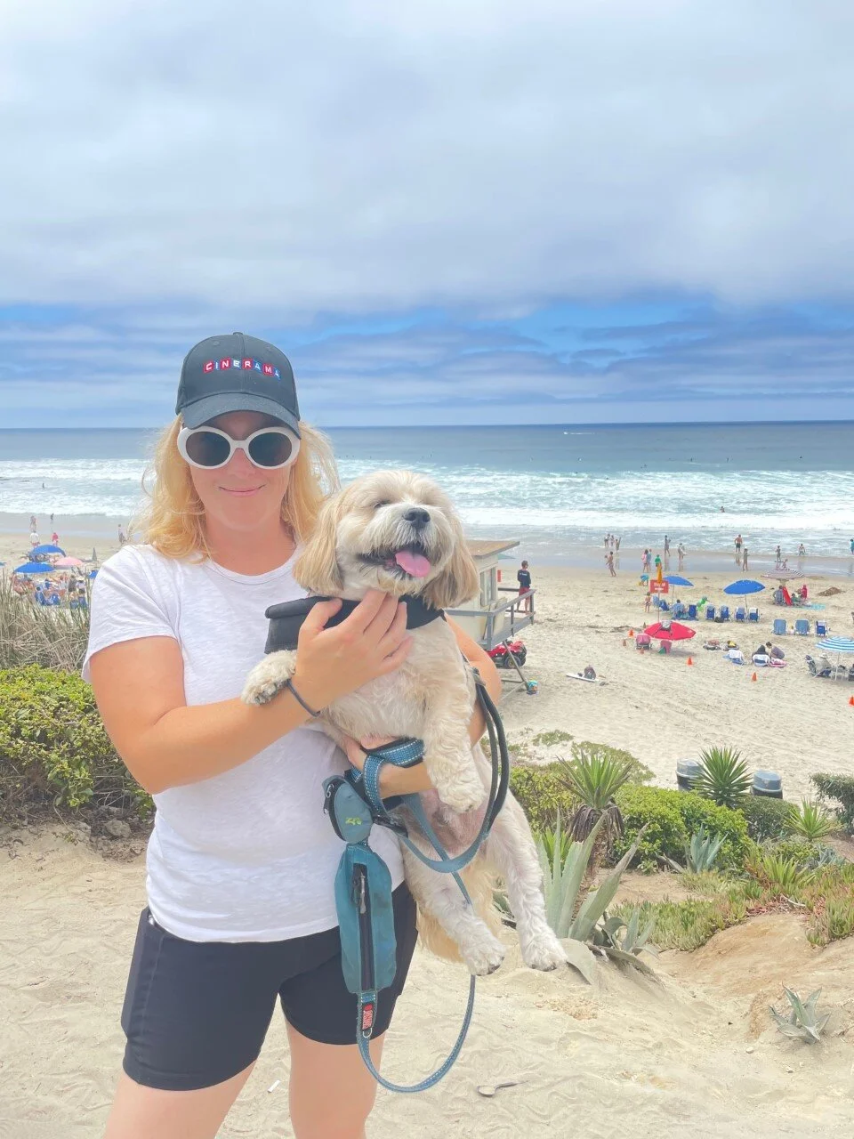 Peabody, The Mixed Breed Rescue — Dog Whisperer® HQ