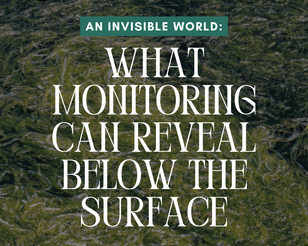 An Invisible World: What Monitoring Can Reveal Below the Surface 