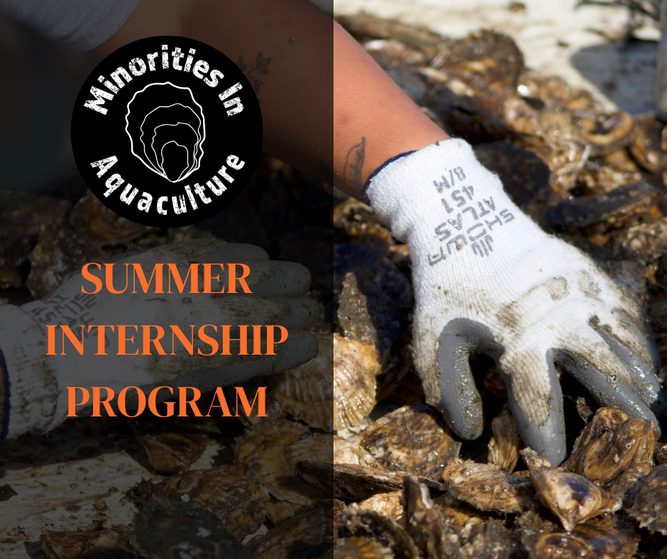 Connections are Currency: MIA Internship Program 