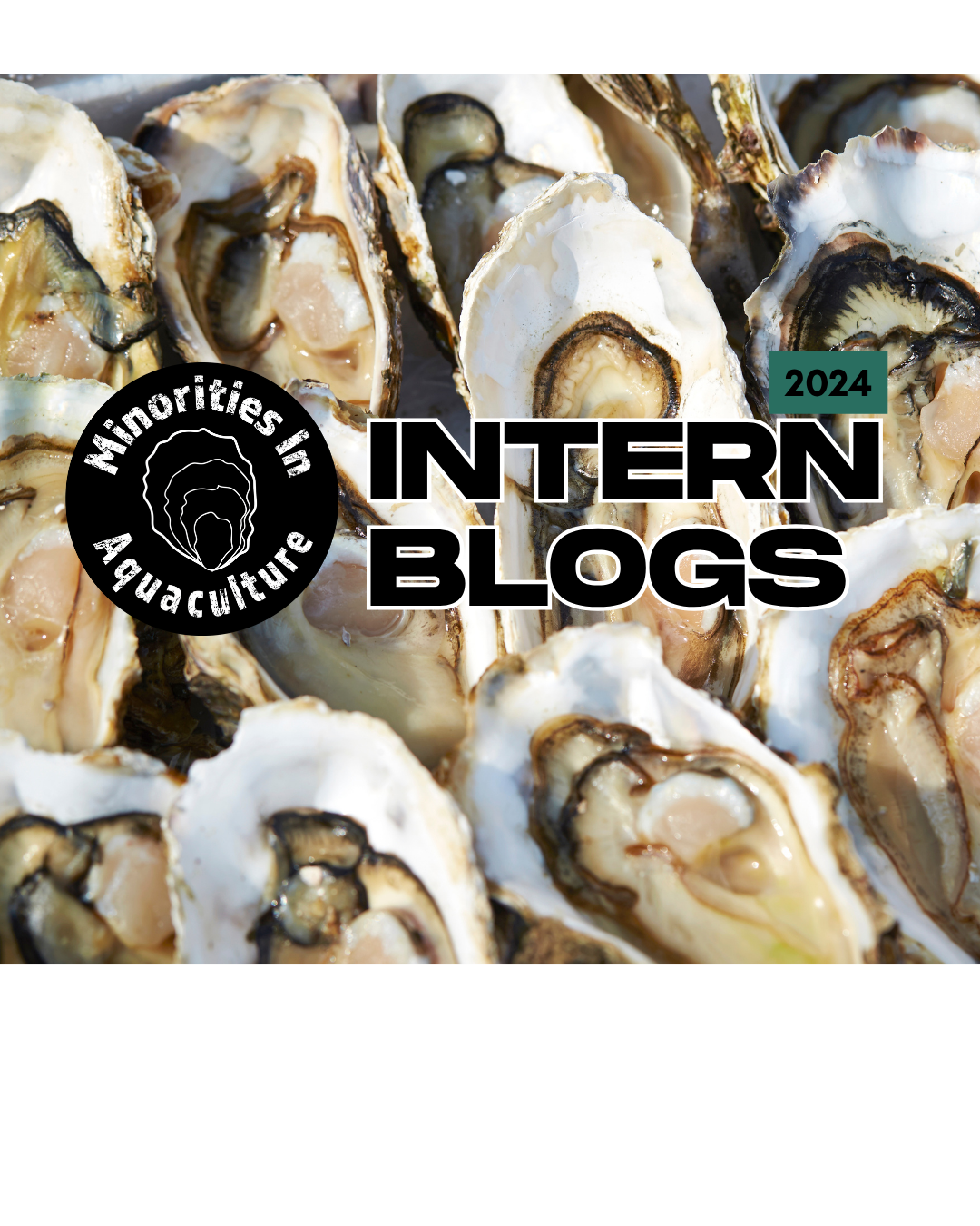 PEARLS OF LOVE: THE CULTURAL ESSENCE OF OYSTERS ON THE CHESAPEAKE BAY, EASTERN SHORE