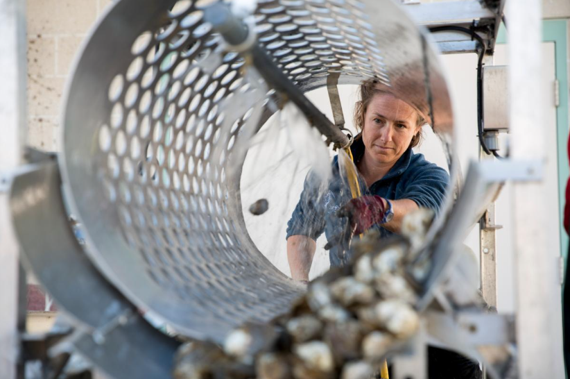 Diversity Grows in Aquaculture