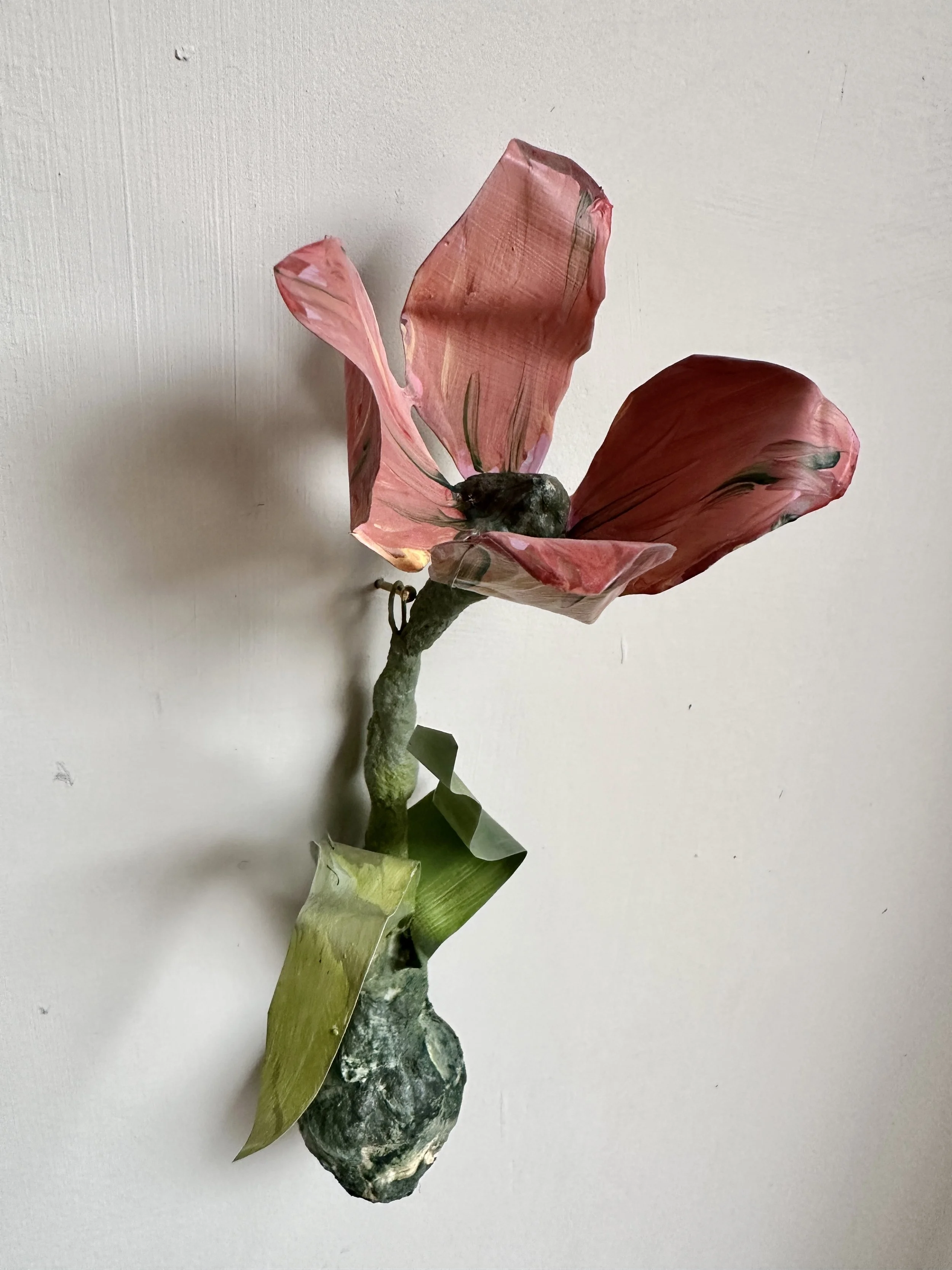 IMG_1519.jpeg