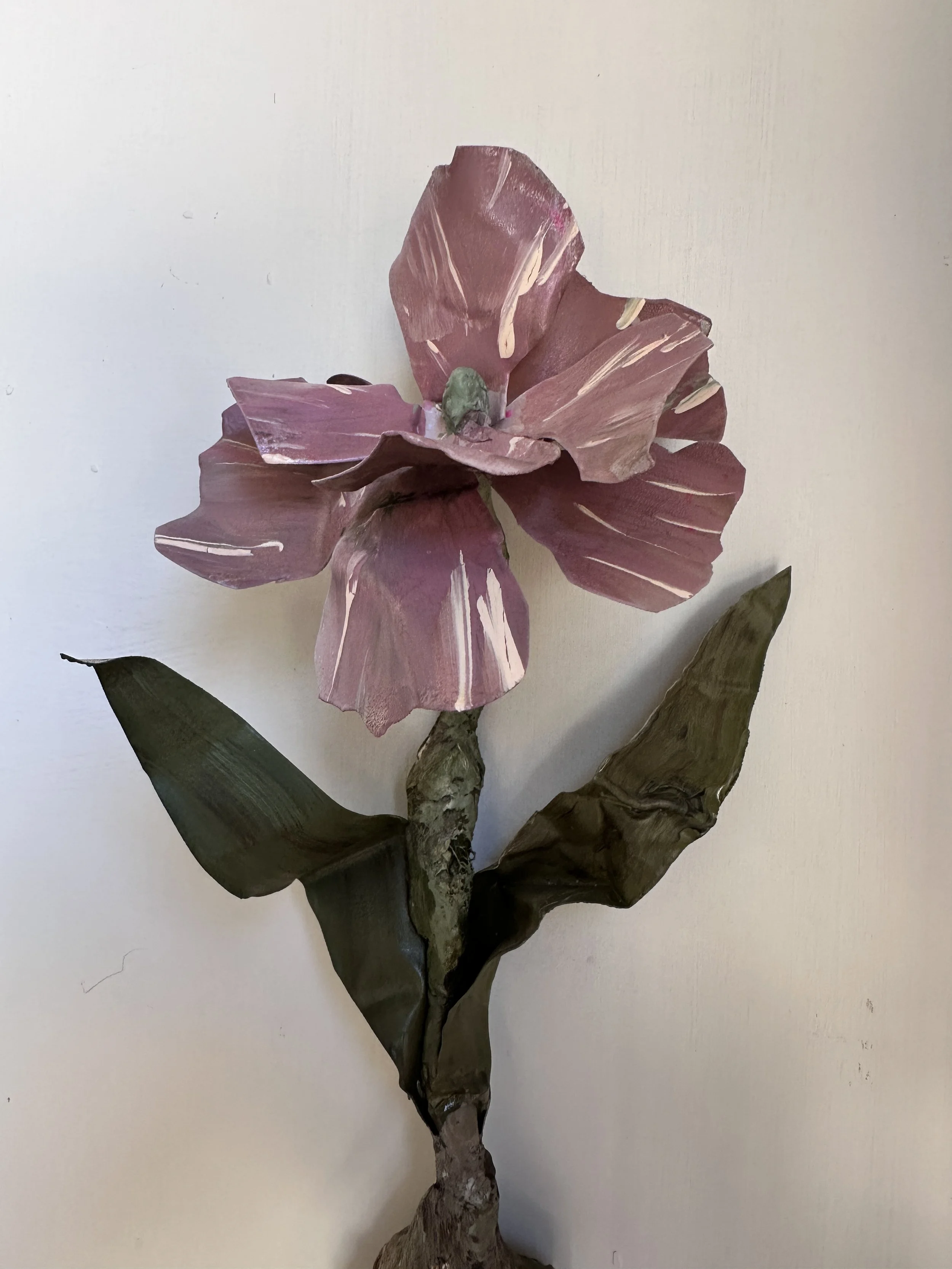 IMG_3399.jpeg