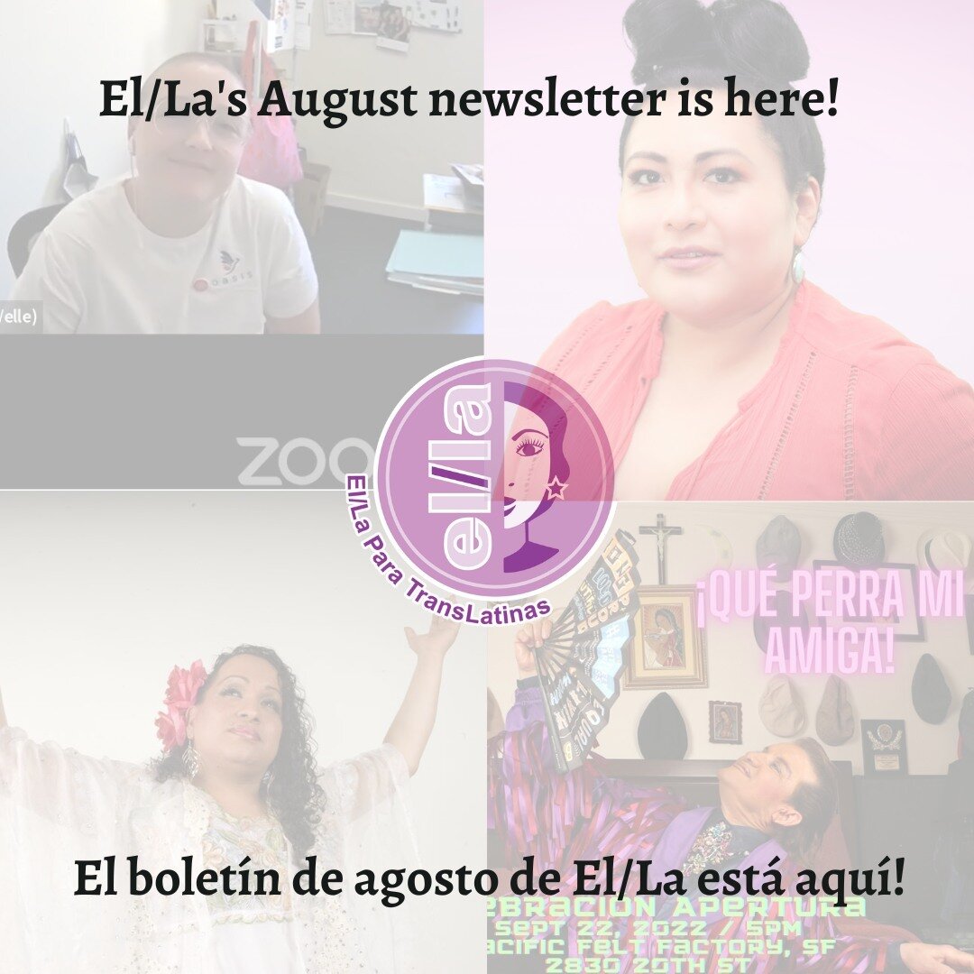 El/La's August newsletter is here - link in bio! 🌌 / &iexcl;Ya est&aacute; aqu&iacute; el bolet&iacute;n de agosto de El/La - enlace en bio! ⭐