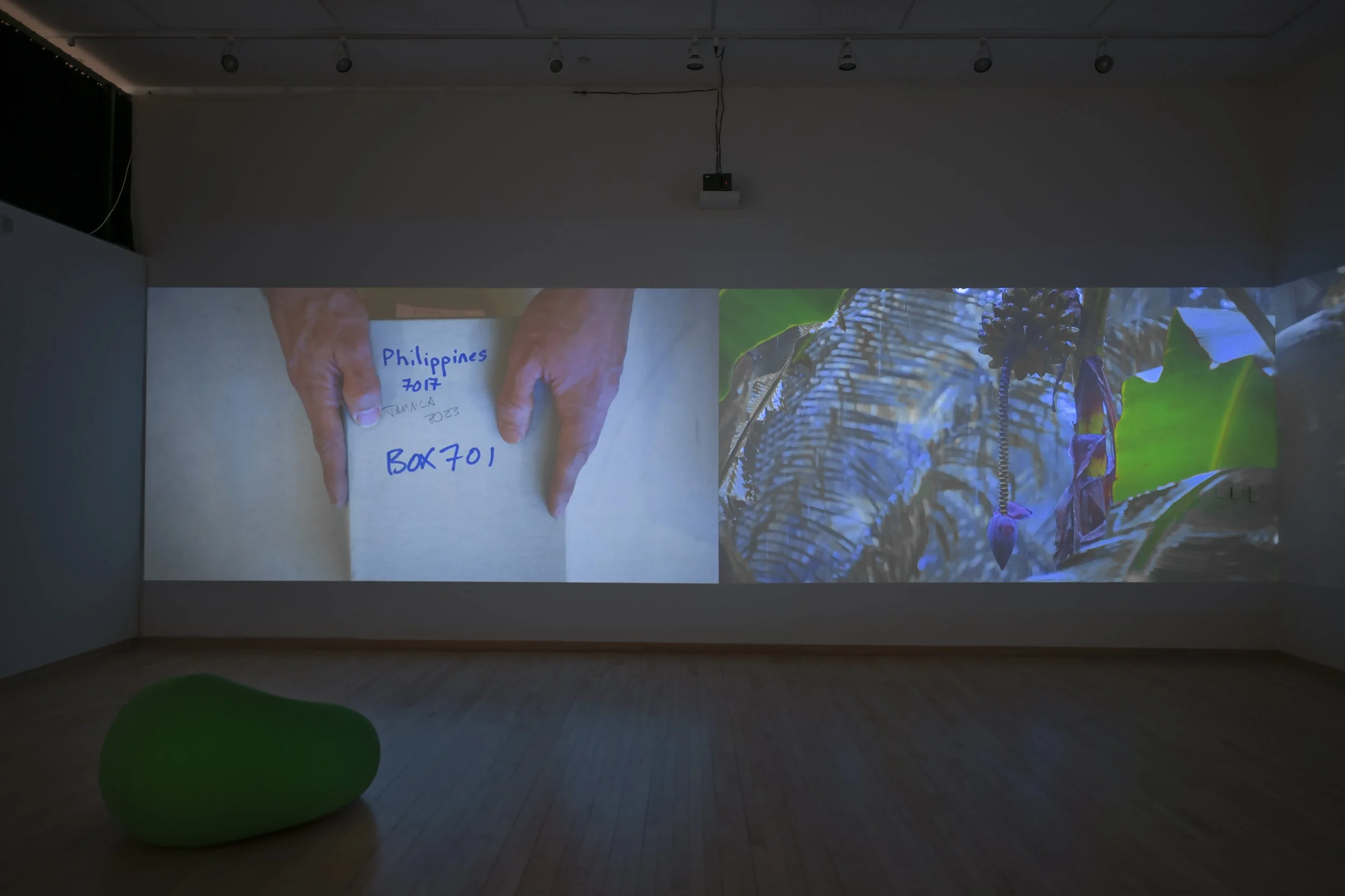 "Flora After," 4 channel video Installation, (12:48) Dimensions variable, 2026, Photo Credit: John Carlano  