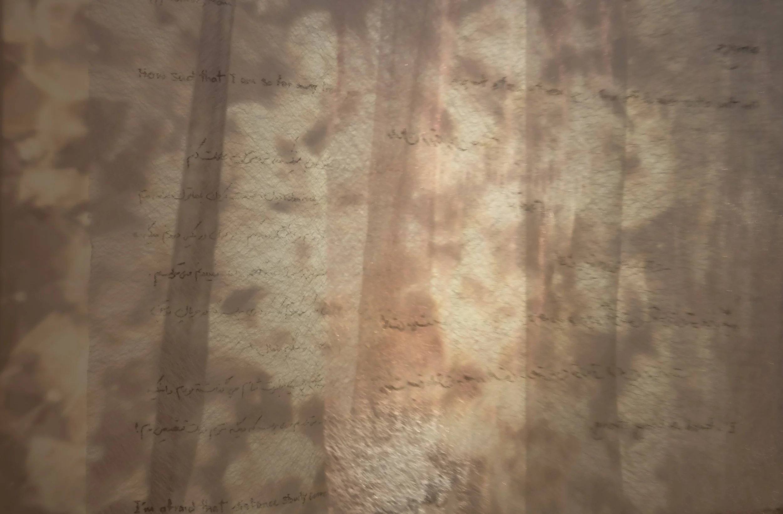 "Your Trace in the Farthest Nearness"
Detail. 
Mixed media installation with overhead projection, phytograms, transparent fabric, and handwritten text. 

Dimensions variable. 

Photo credit: John Carlano 