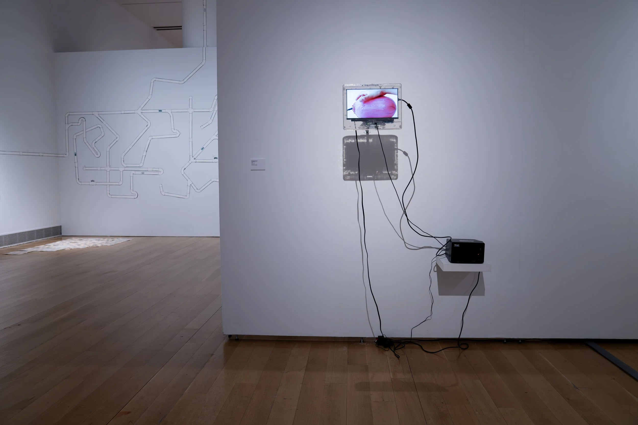The Afterlife (installation view)
