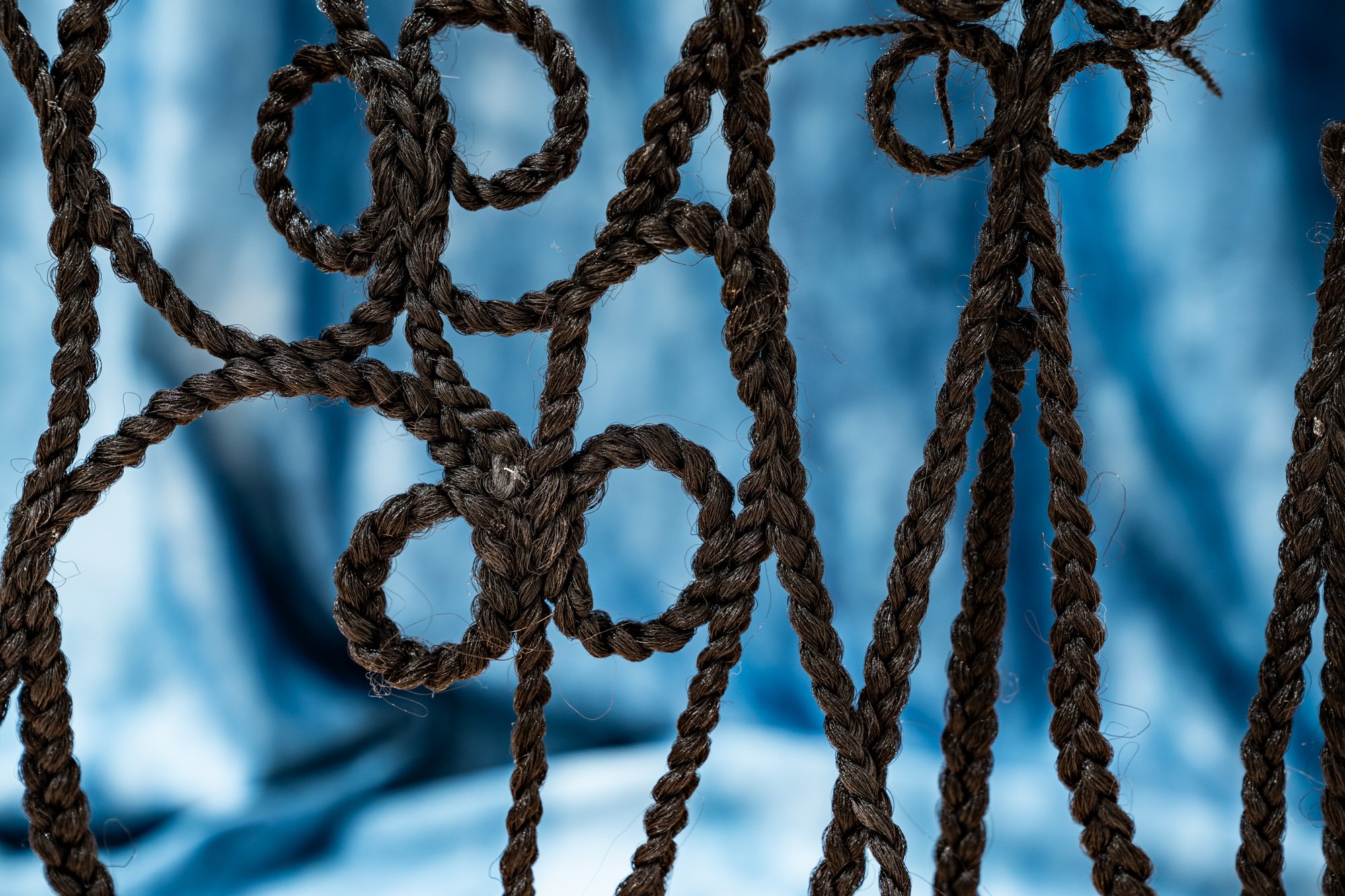 "Sankofa Braid Gate" (detail)
Hair, Glass
72inwby24inhby1ind
Photo Credit: Dilmar Gamero