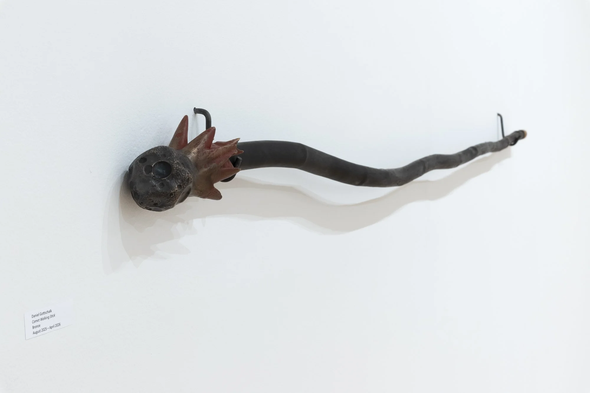 "Comet Walking Stick," 5' 10", Bronze, Ironwood stick, Photo Credit: Sam Fritch