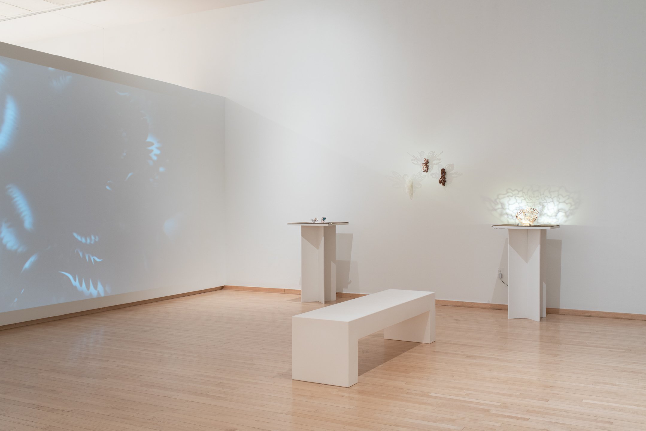 "Pattern & Presence"
Installation
Dimensions variable
Photo Credit: Neighboring States