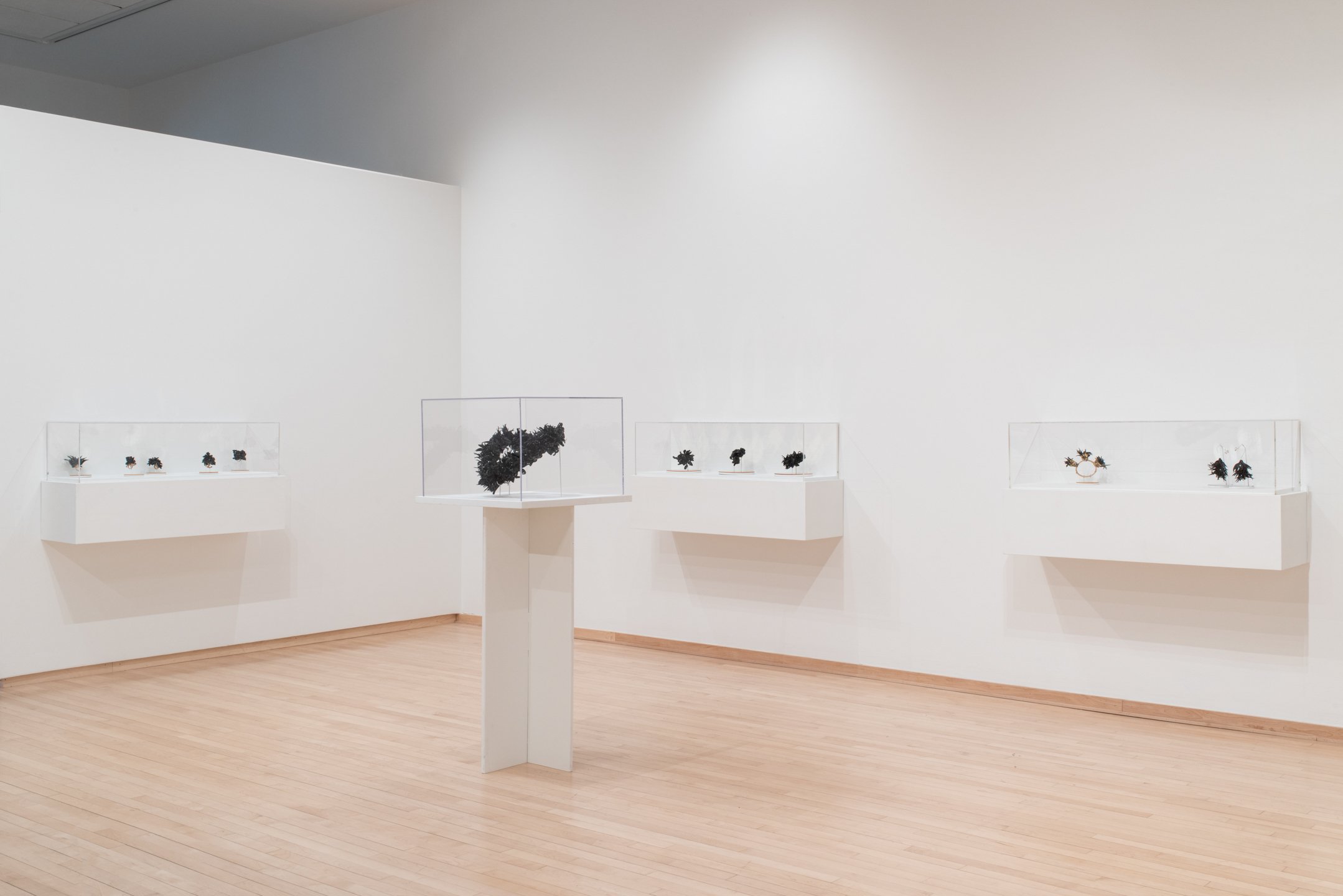 "The Unexpected Adornment" Installation View, Dimensions Variable, Photo Credit: Neighboring States