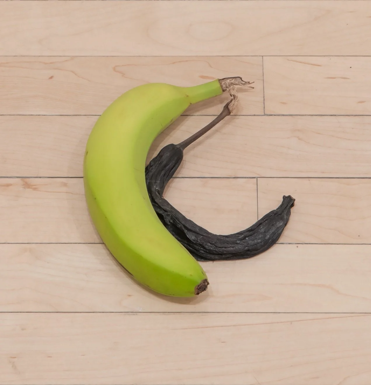 "Spoon"
Bananas. 1.5" x 6" x 7.5".
Photo credit: John Carlano.