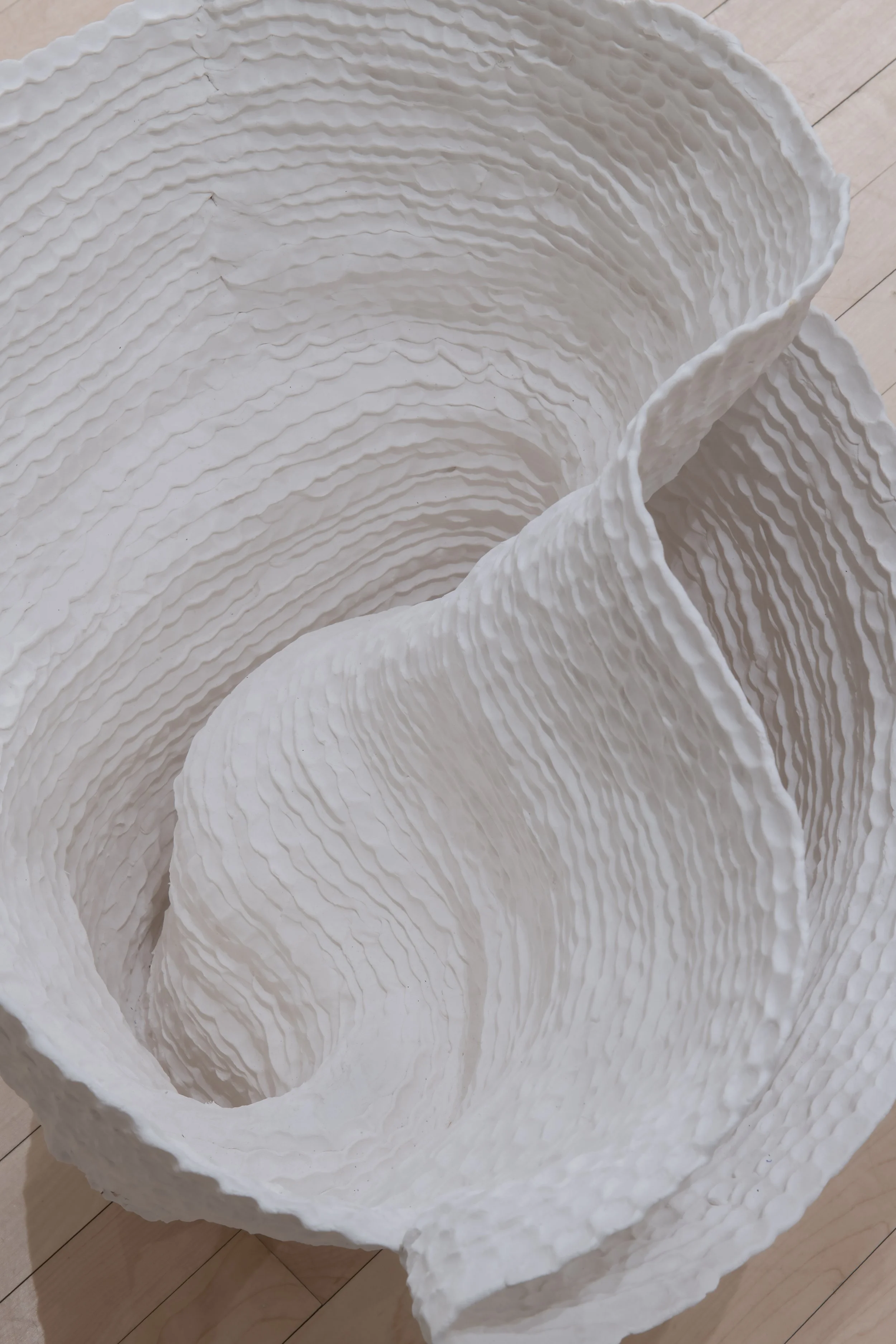 "Gyre" (detail)
Porcelain. 24 x 24 x 24 in.
Photo credit: John Carlano