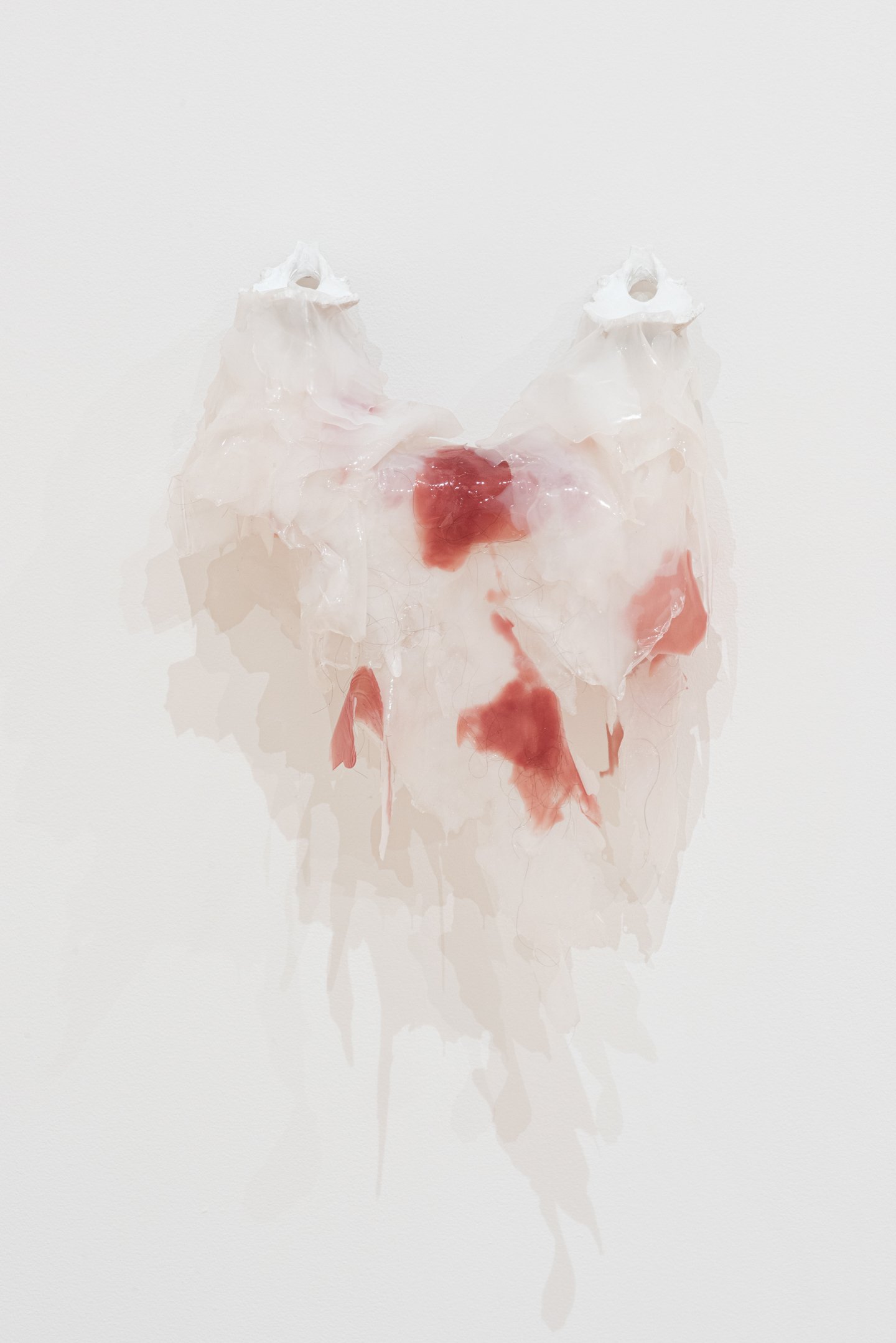 "Their blood did not seep into the Earth!" 2025, memory keeper bones (Occipital) in plaster cast, silicone, artist’s hair, metal.
30x 40x 10 inches.