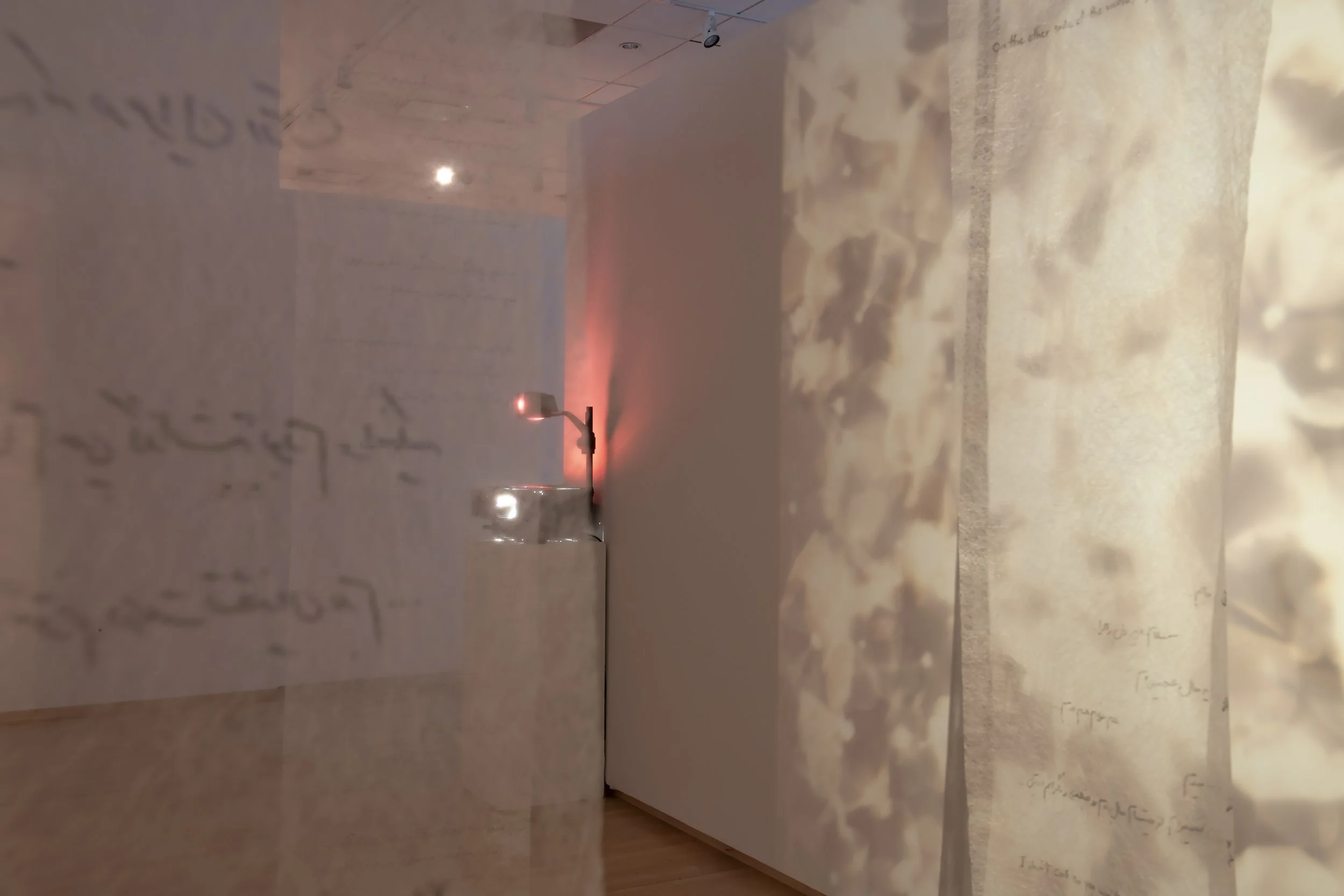 "Your Trace in the Farthest Nearness"
Detail. 
Mixed media installation with overhead projection, phytograms, transparent fabric, and handwritten text. 

Dimensions variable. 

Photo credit: John Carlano 