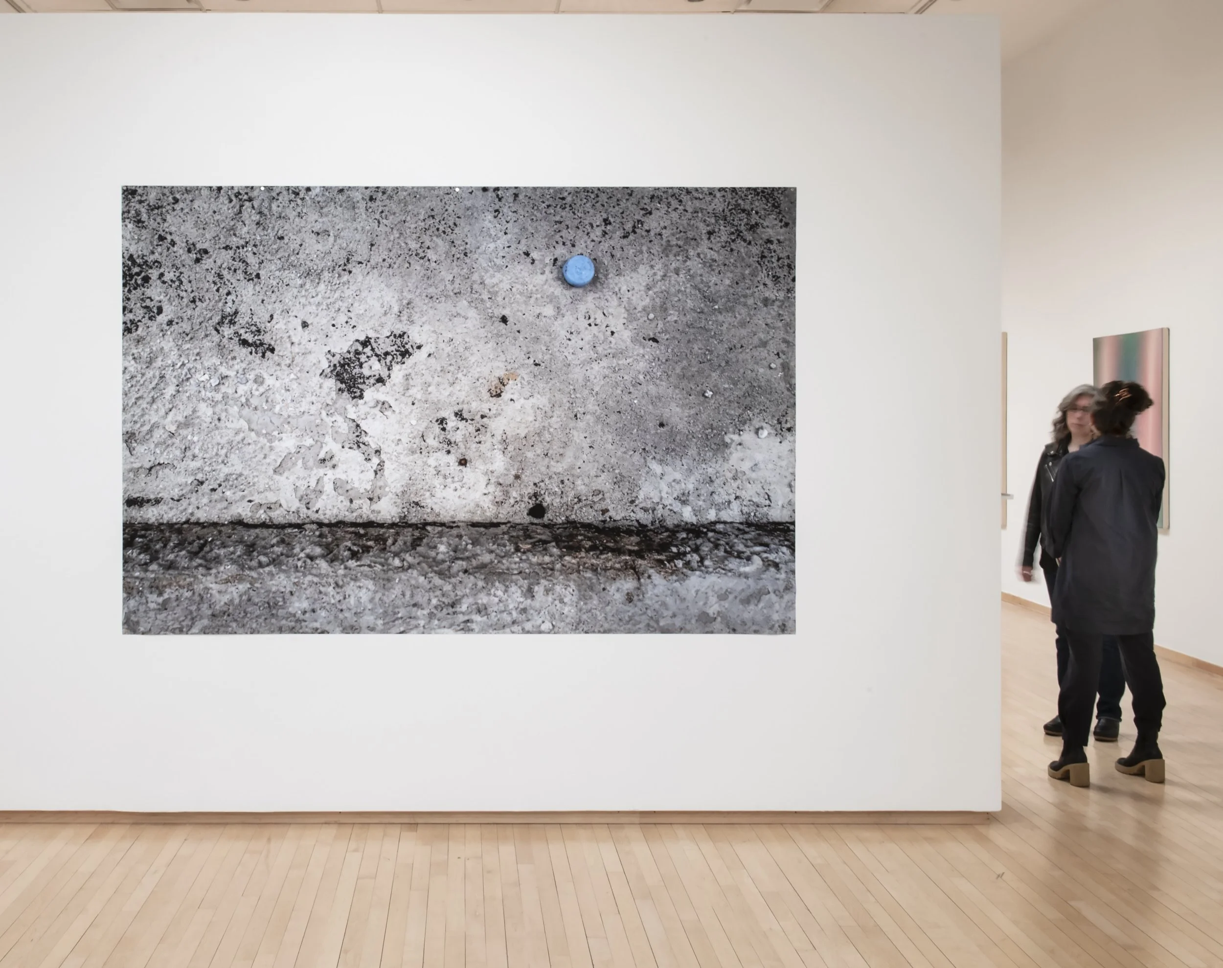 "Blue Moon, Grey skies,"

Archival Pigment Print, 64”x94”,

Photo Credit: John Carlano 