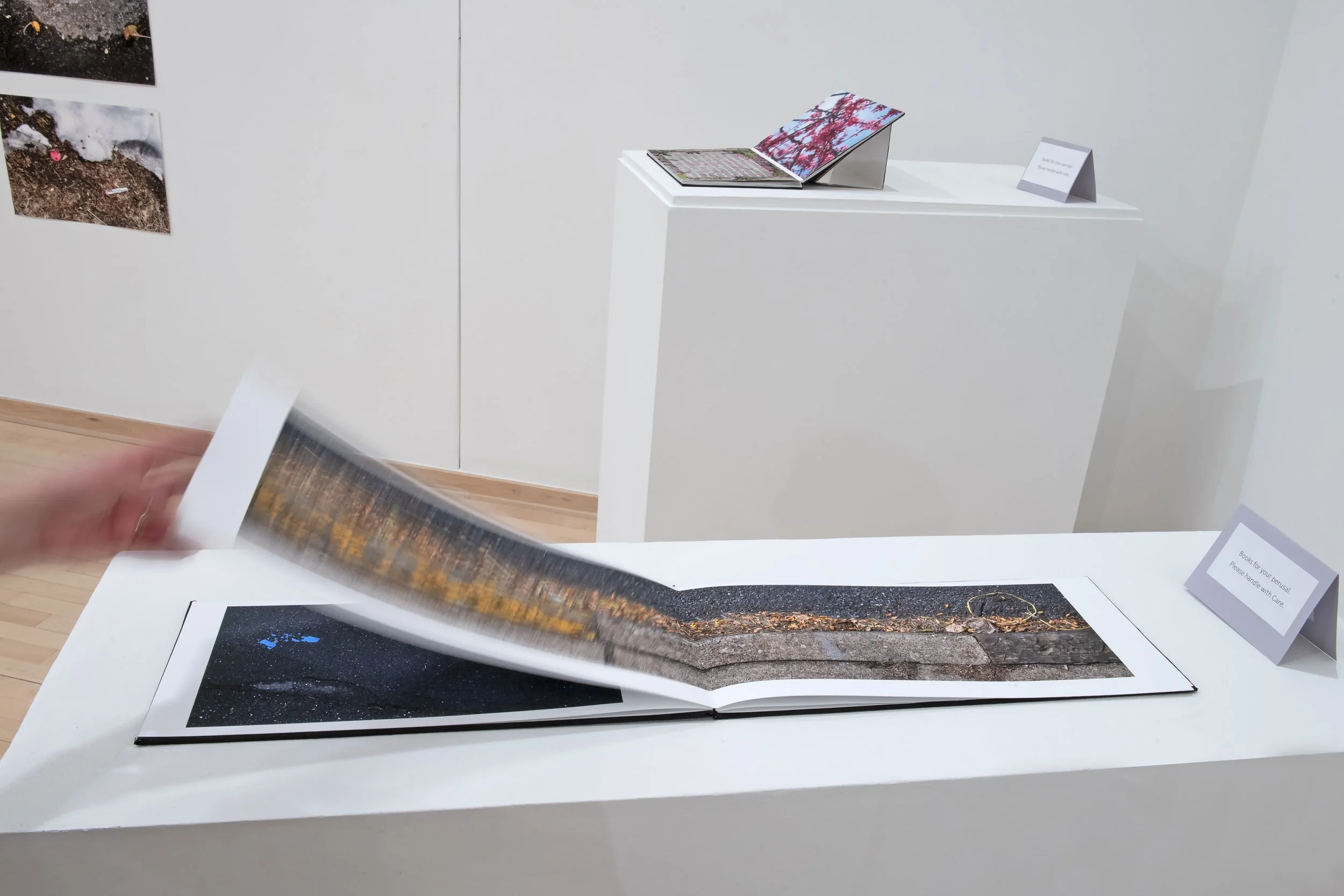 "Left Right"

Archival Pigment Prints, Book Cloth, Book Board, Acid Free Adhesive, Vinyl Lettering, 9”x13”

Photo Credit: John Carlano 