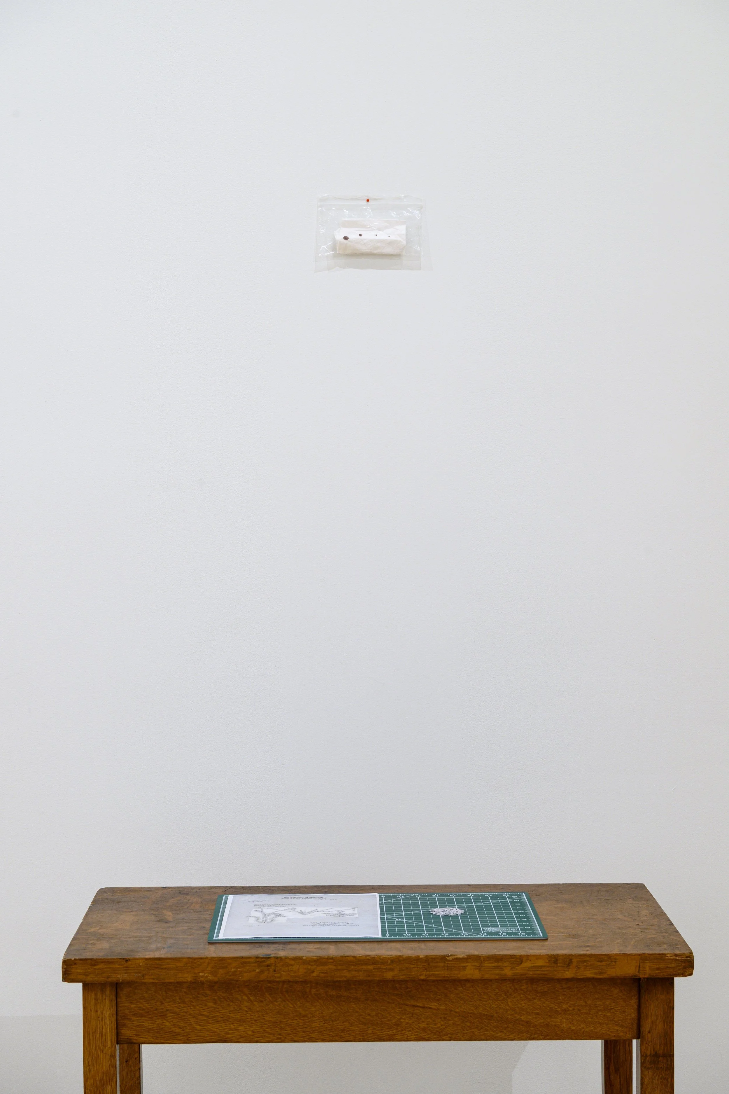 "Recession"
Installation view.
Artist's blood on a paper towel, plastic bag, red pushpin. 4" x 6".
"Mixed-Bloods"
Installation view.
A letter to the artist's eugenicist great-grandfather, self-healing cutting mat, wood desk found in the basement of
T