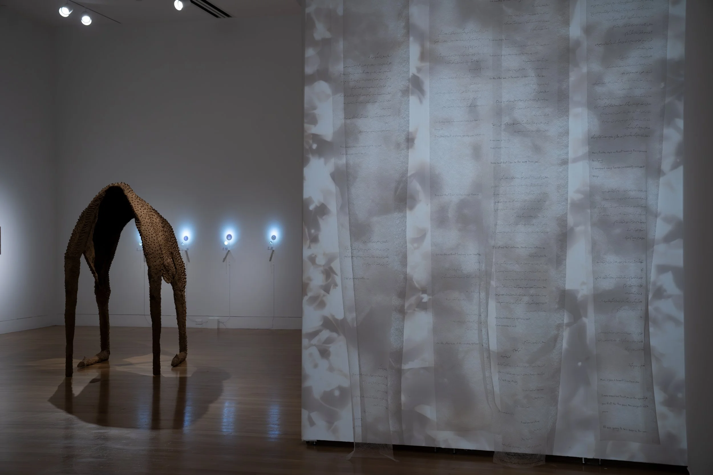 The Afterlife (installation view)
