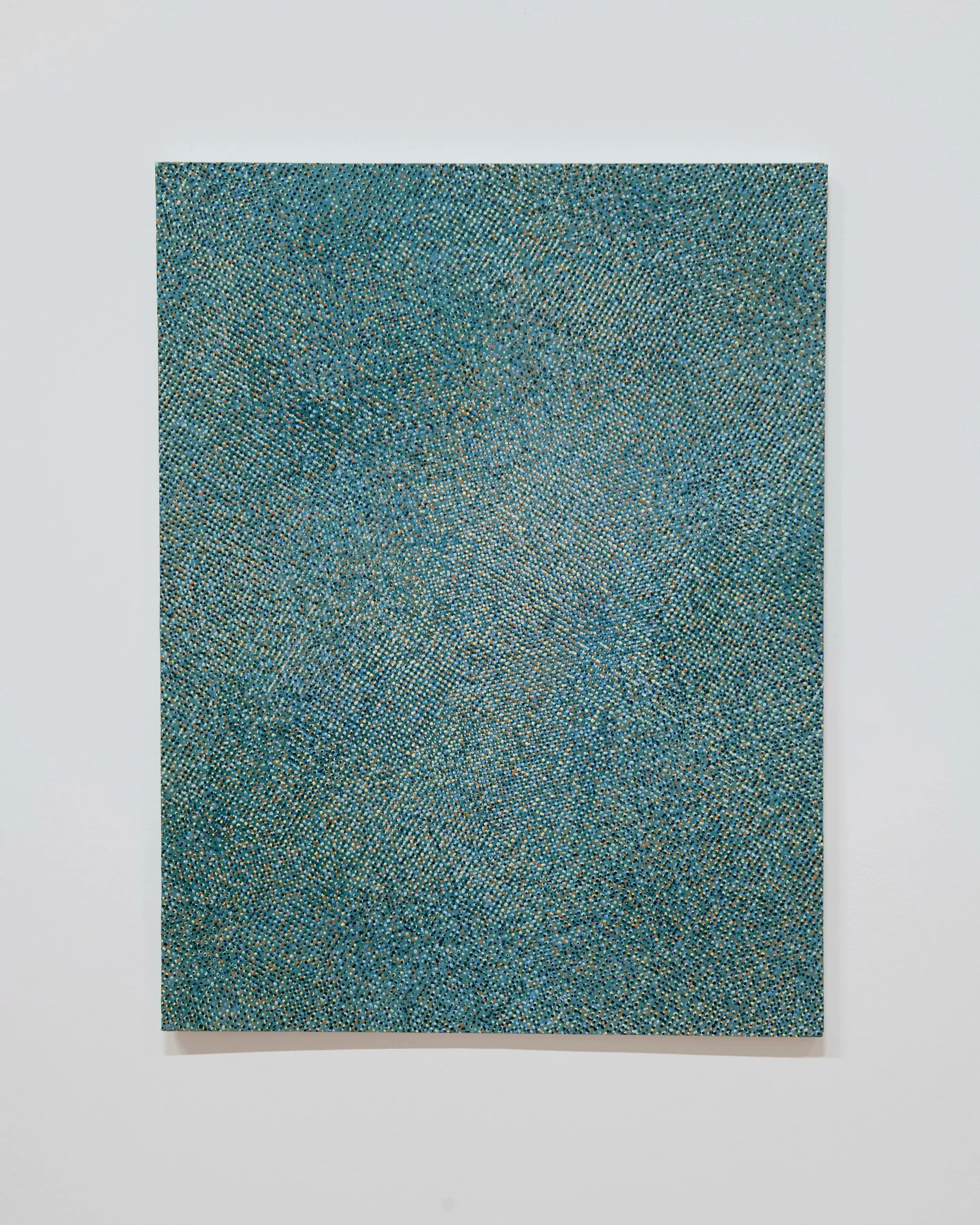 "Sample Skips Here"
Acrylic on muslin mounted on wood. 30” x 24”
x .5”
Photo credit: John Carlano