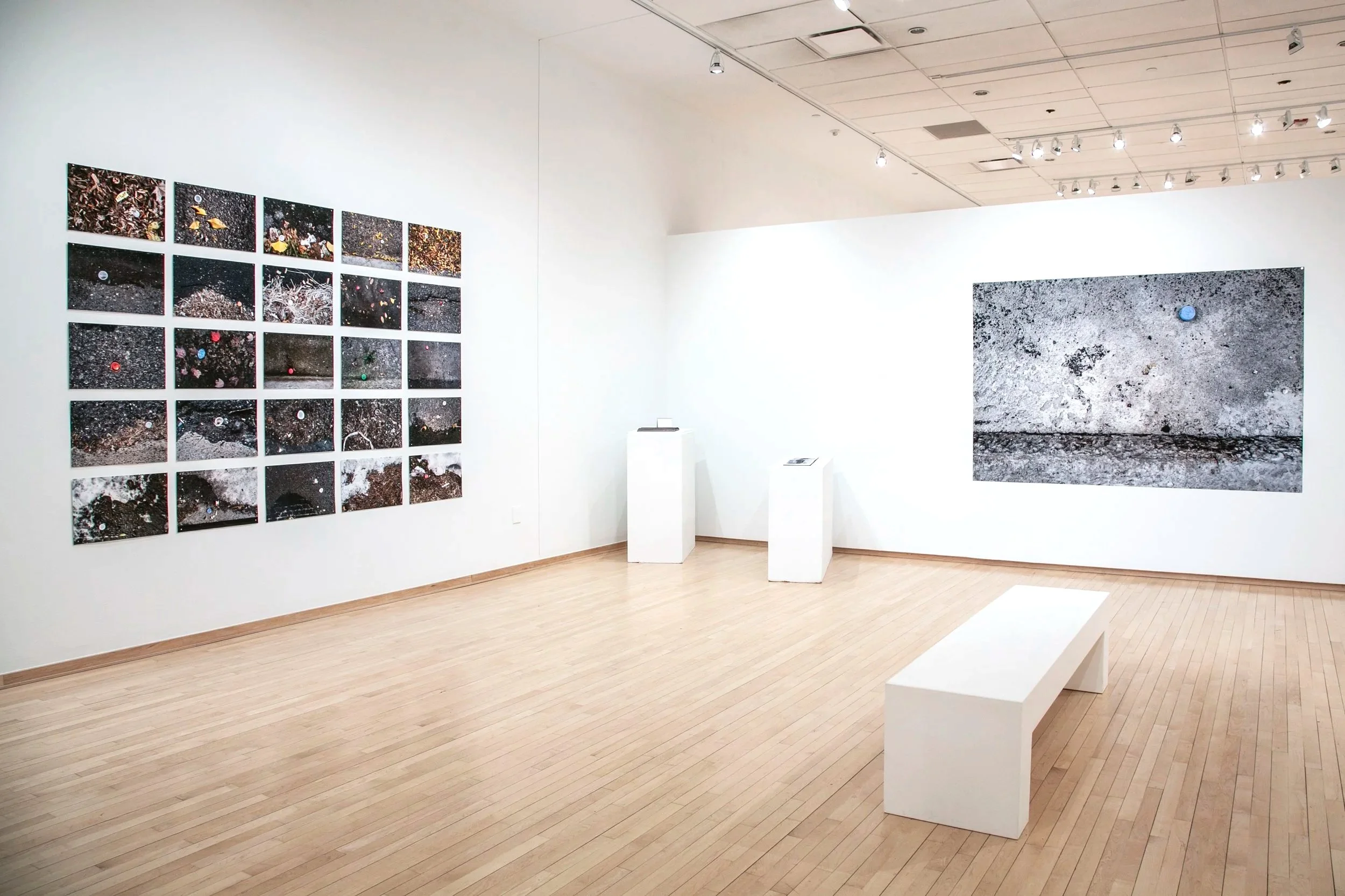 "Latent Commons"

Installation View,

Archival Pigment Print on Fine Art Paper, 25 individual 13”x20” prints in a grid, total dimensions variable
Photo Credit: John Carlano