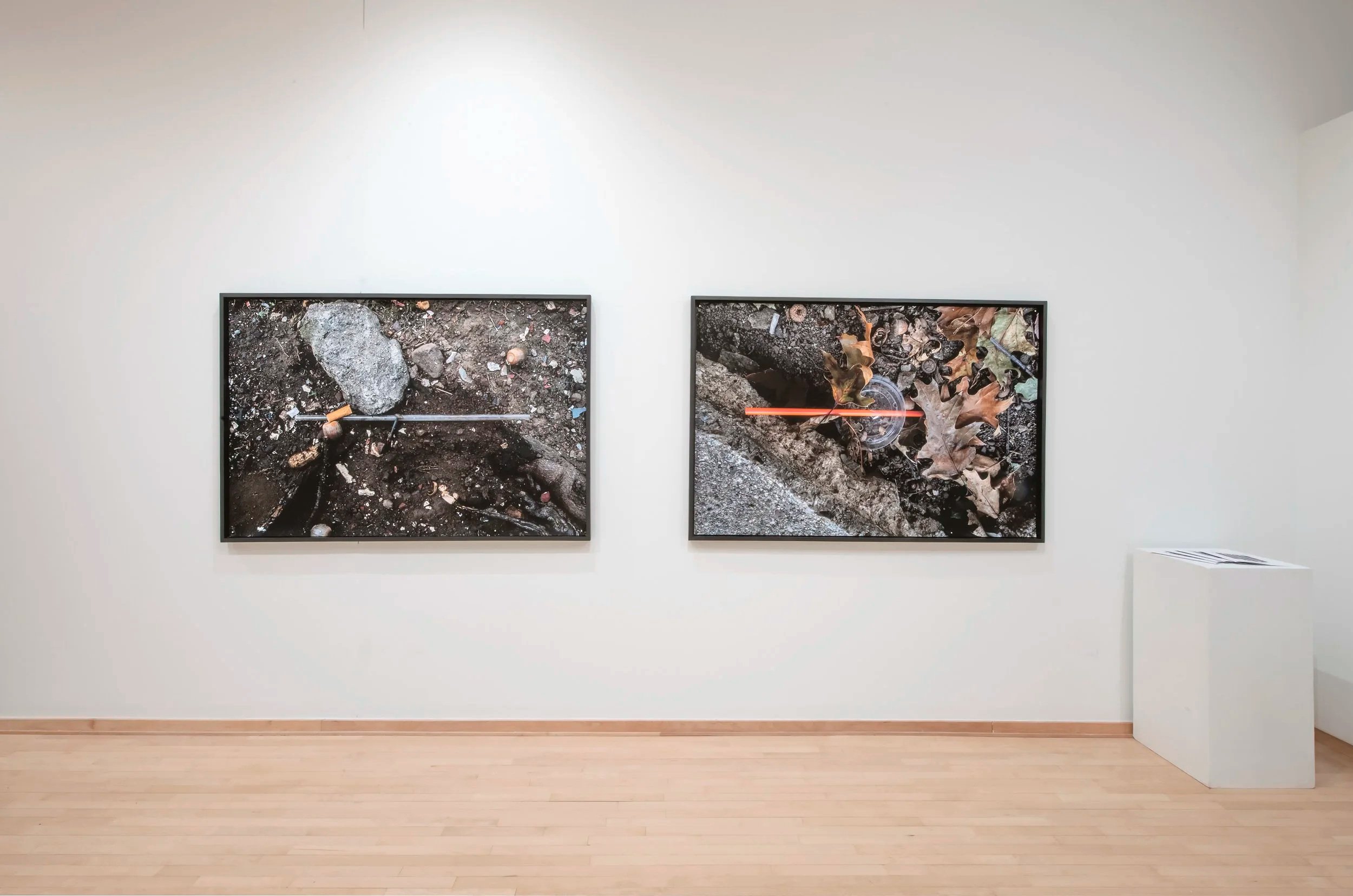 "Straw L1070793" (left)

Archival Pigment Print on Fine Art Paper, wood frame, 44”x66”x1” framed,

"Straw L1070798" (right)

Archival Pigment Print on Fine Art Paper, wood frame, 44”x66”x1” framed,

Photo Credit: John Carlano