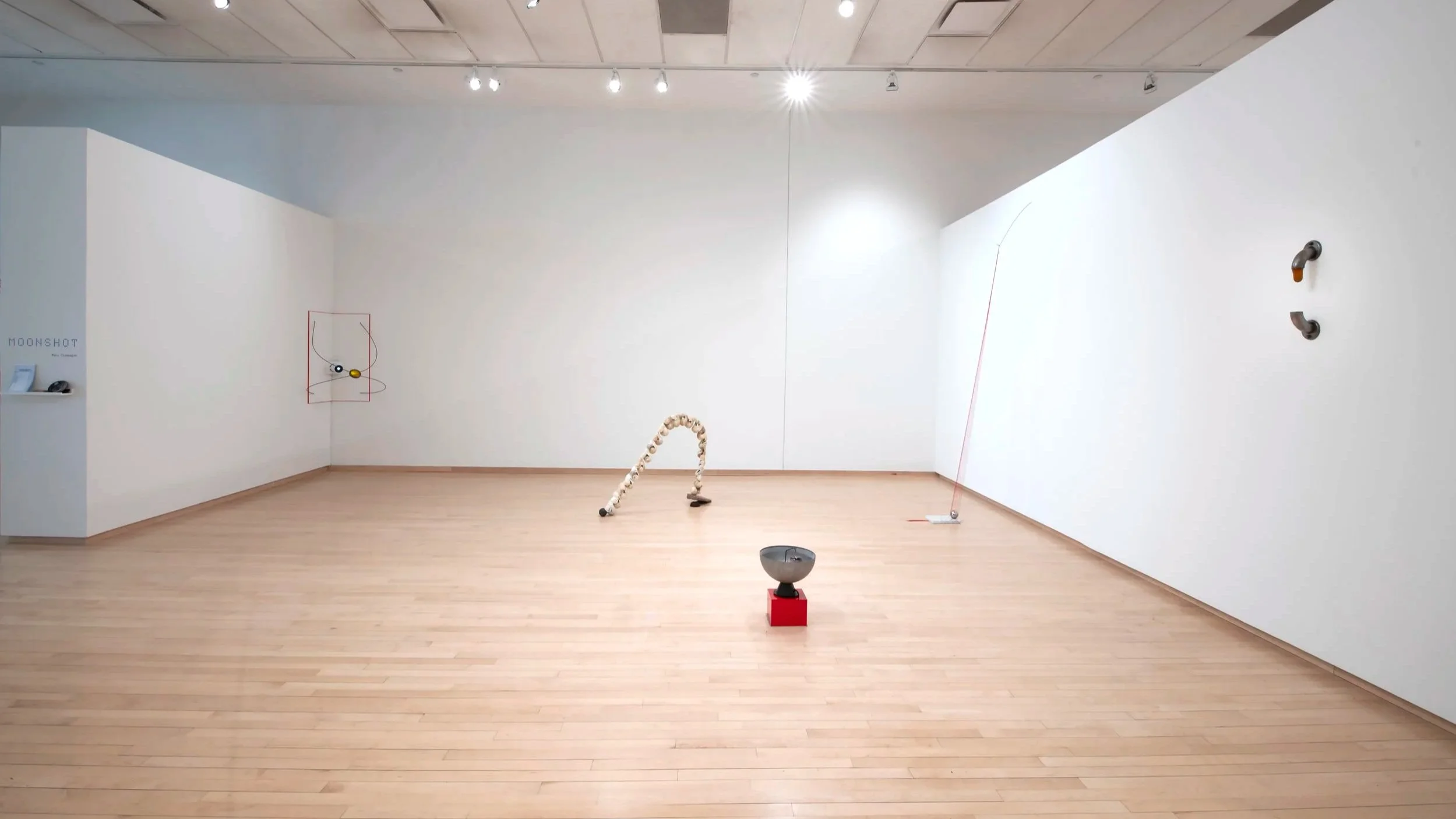 "MOONSHOT" Installation View, Photo Credit: John Carlano