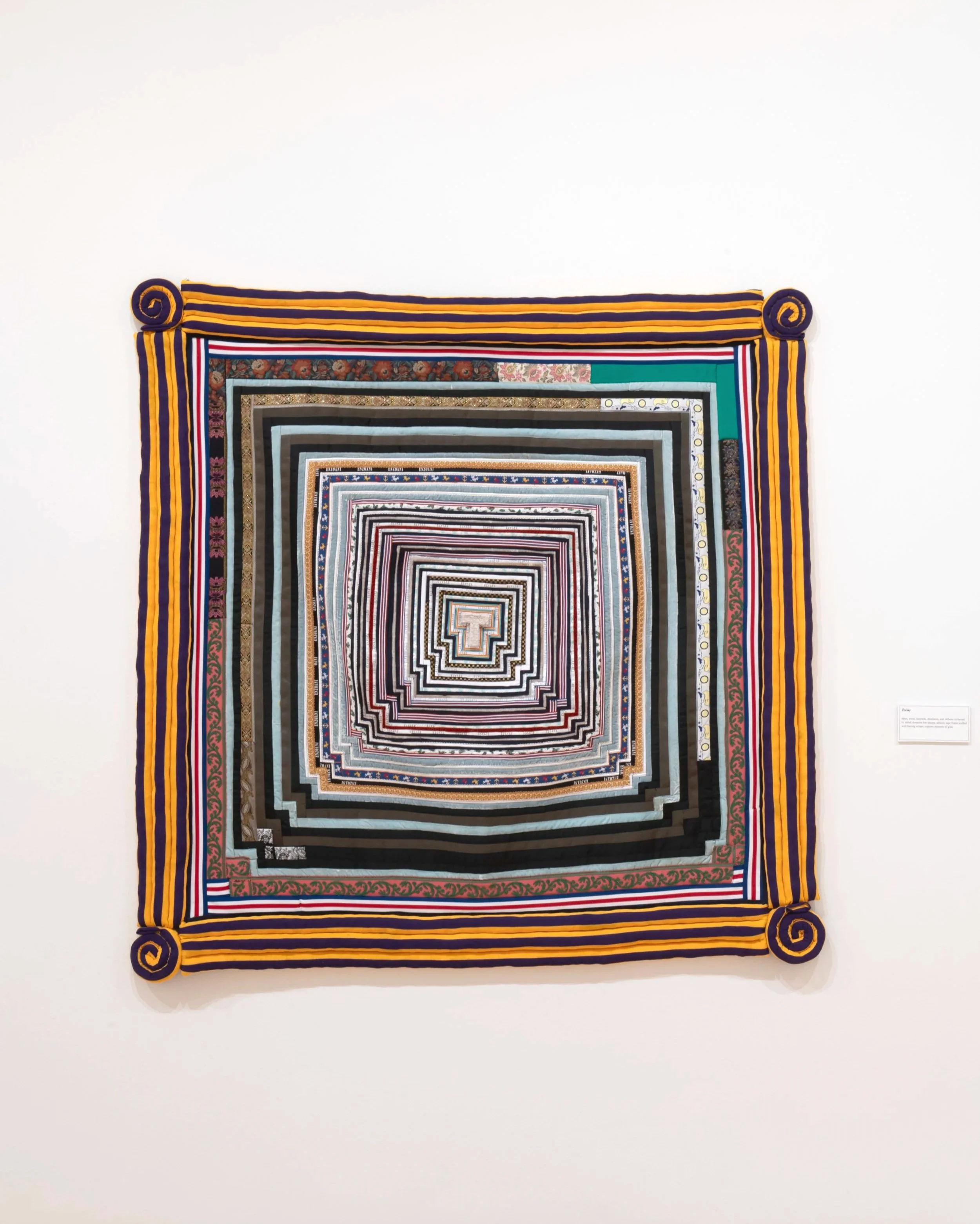 "Teeny"
tapes, trims, lanyards, shoelaces, and ribbons collected by artist; donation bin sherpa; athletic 
tape frame stuffed with batting scraps; copious amounts of glue. 60” x 62”. Photo Credit: John Carlano