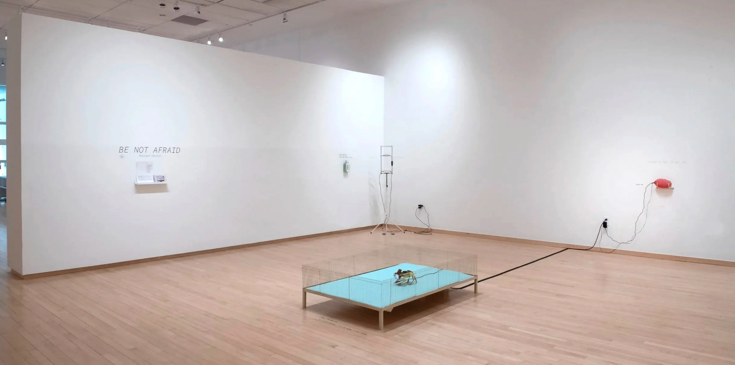 "Be Not Afraid" Installation View, Photo Credit: John Carlano