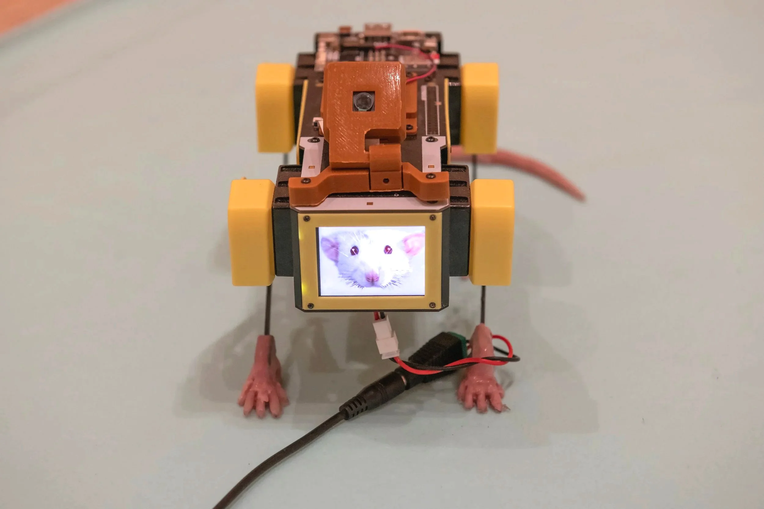 "Ratbot"
Materials: Mangdang Minipupper Robot,silicone. 7 inches by 4 Inches.
Photo credit: John Carlano