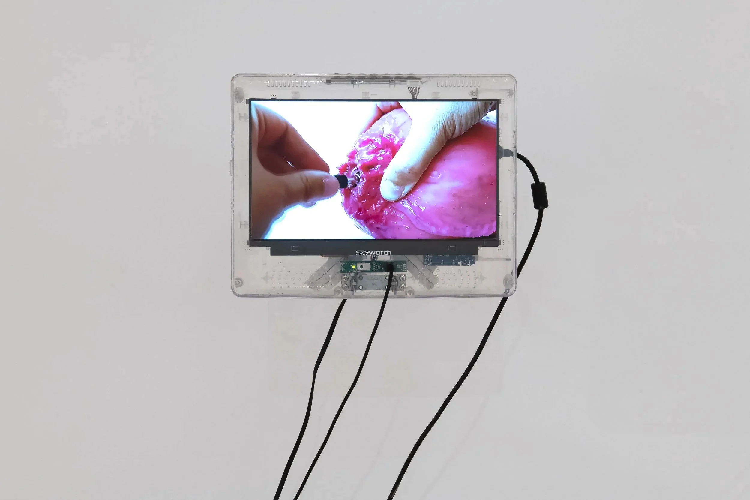 "The Interface," (still)
Video, 2:30
Photo Credit: John Carlano