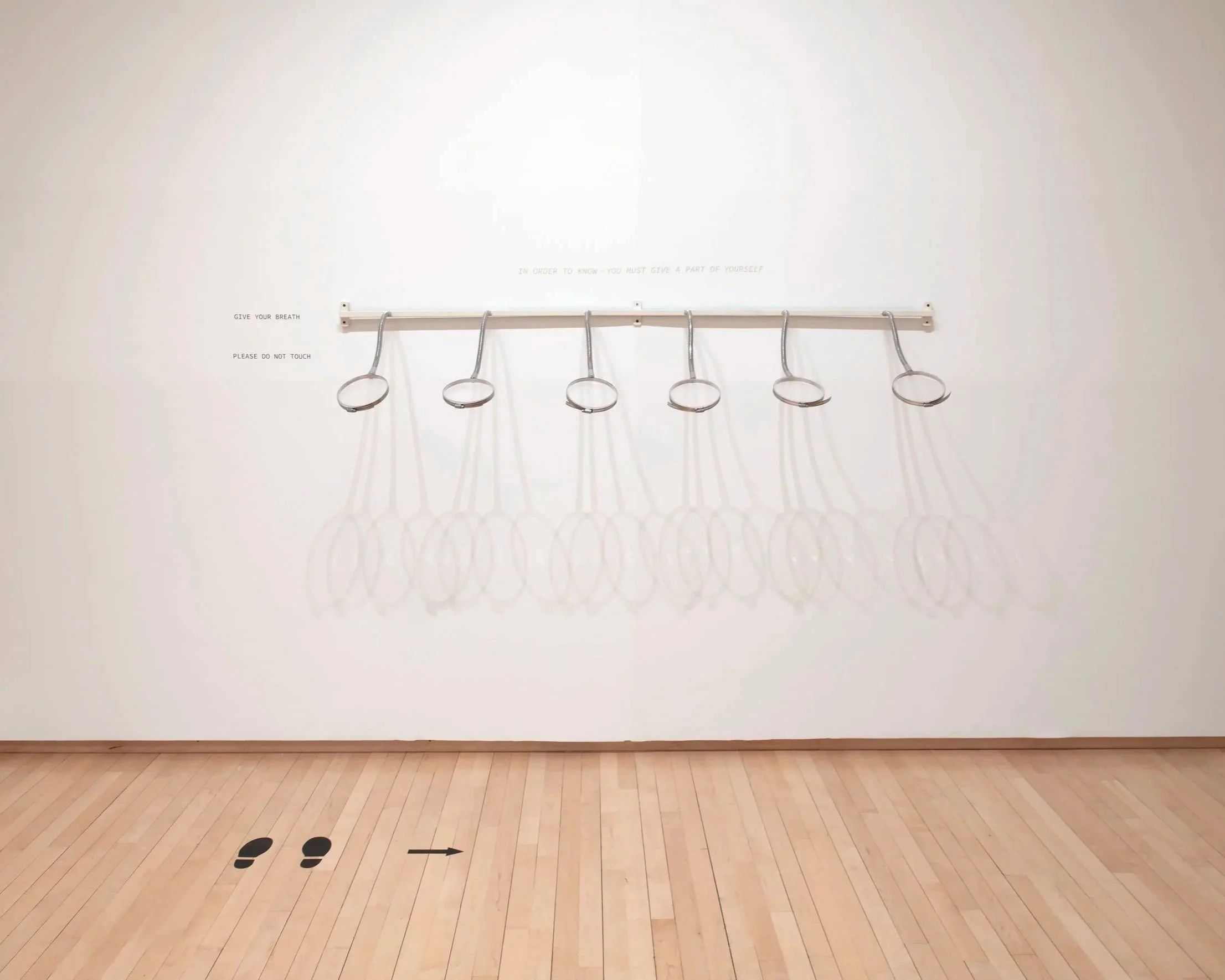 "Breath Experiment II"
Materials: petri dishes, rain x, breathe,
10 inches by 60 inches
Photo credit: John Carlano