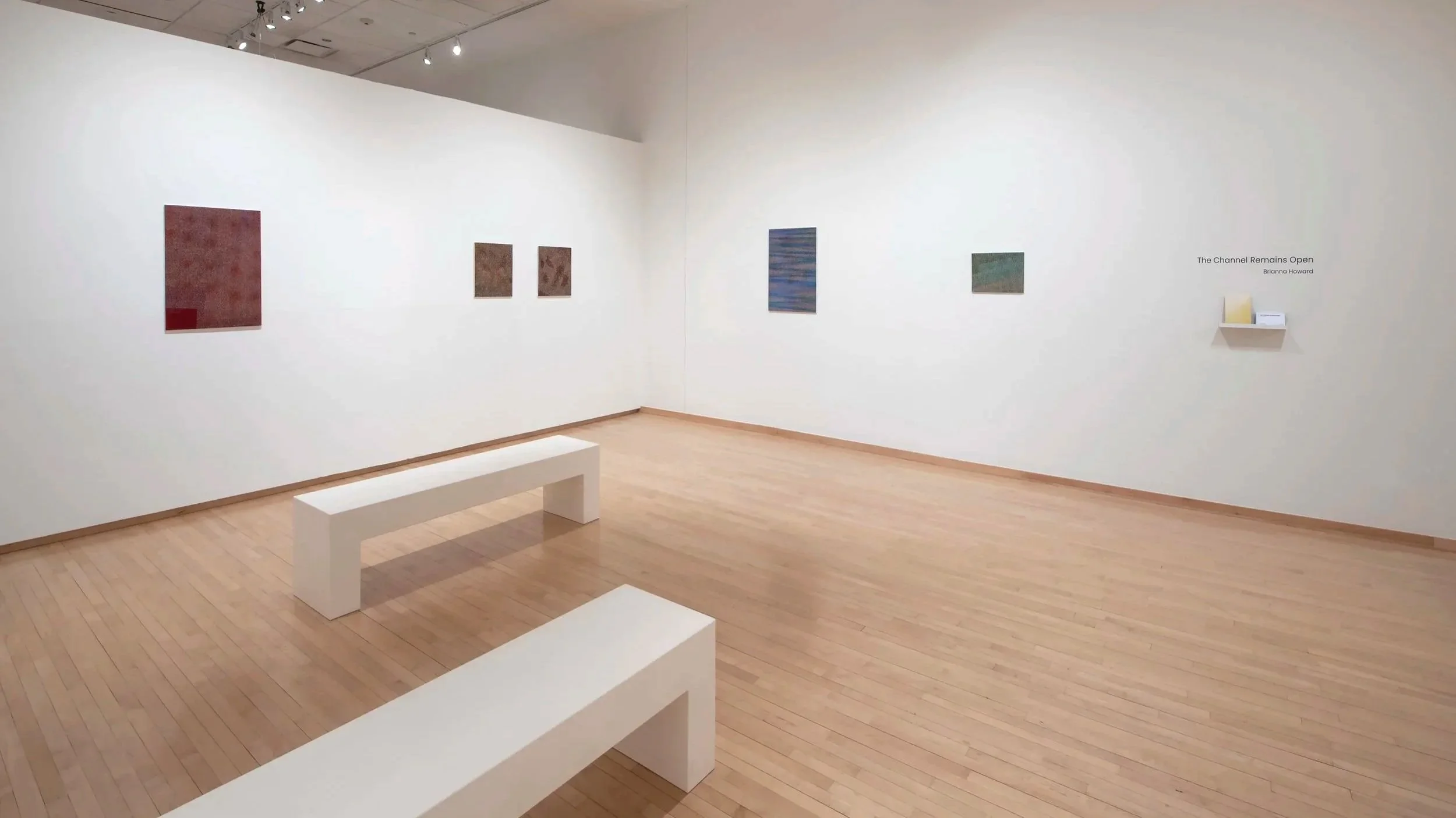 "The Channel Remains Open"
Installation view.
Acrylic on canvas mounted on wood.
Dimensions variable,
Photo credit: John Carlano