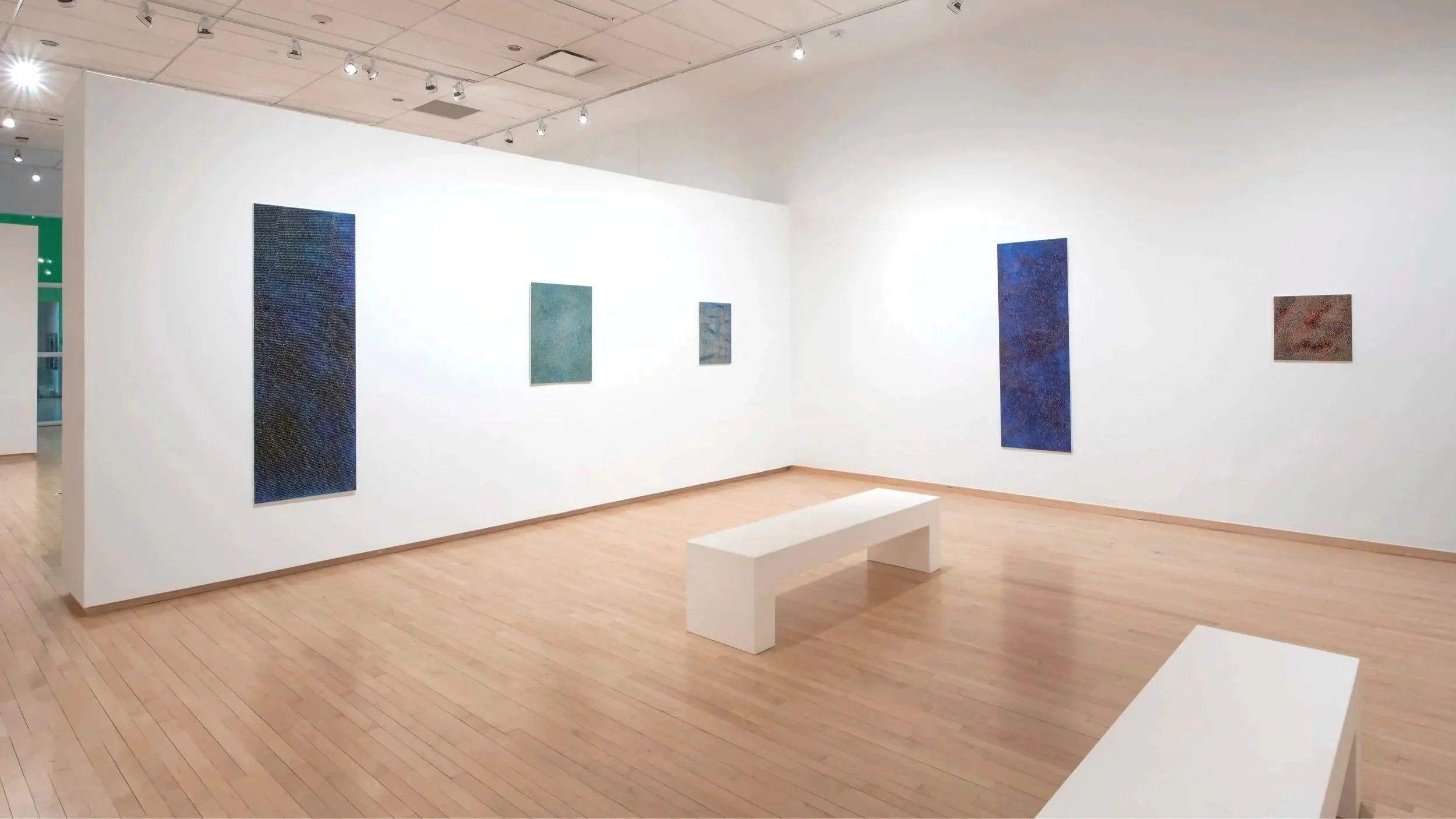 "The Channel Remains Open"
Installation view.
Acrylic on canvas mounted on wood.
Dimensions variable,
Photo credit: John Carlano
