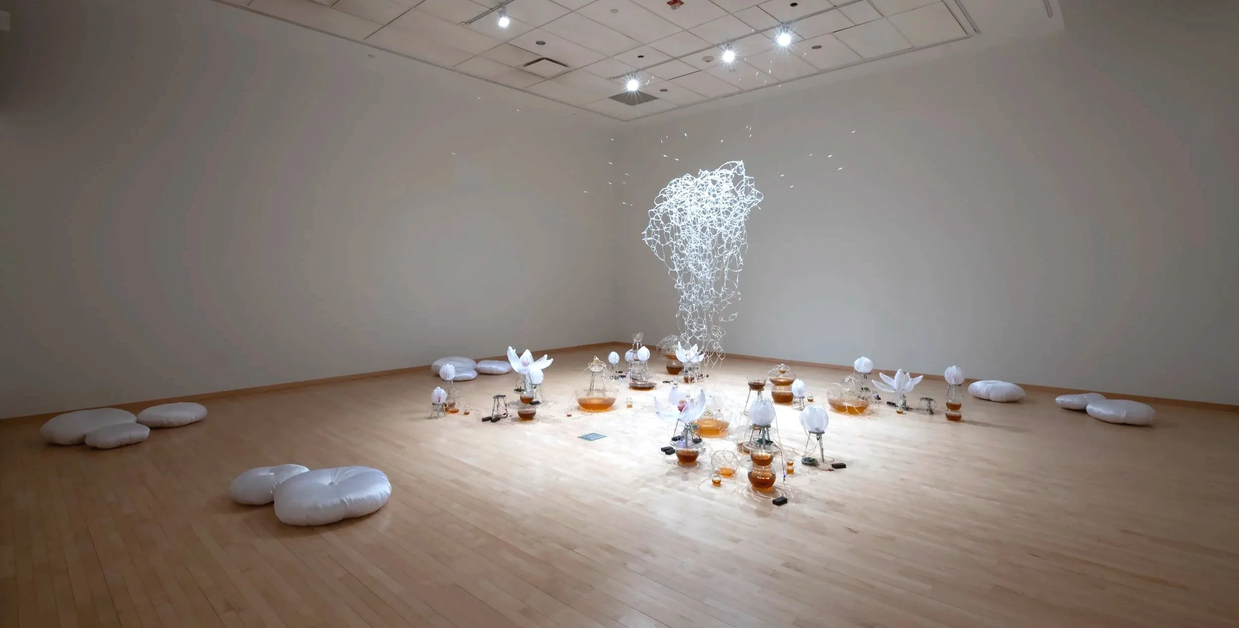 "Jasmine Automata" Installation View, Photo Credit: John Carlano