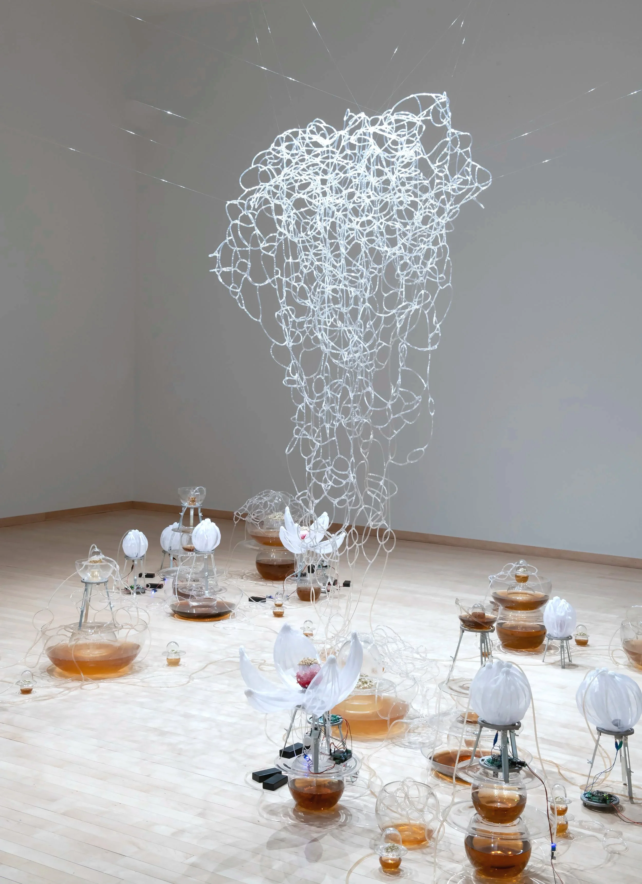 "Jasmine Automata" Installation View, Photo Credit: John Carlano