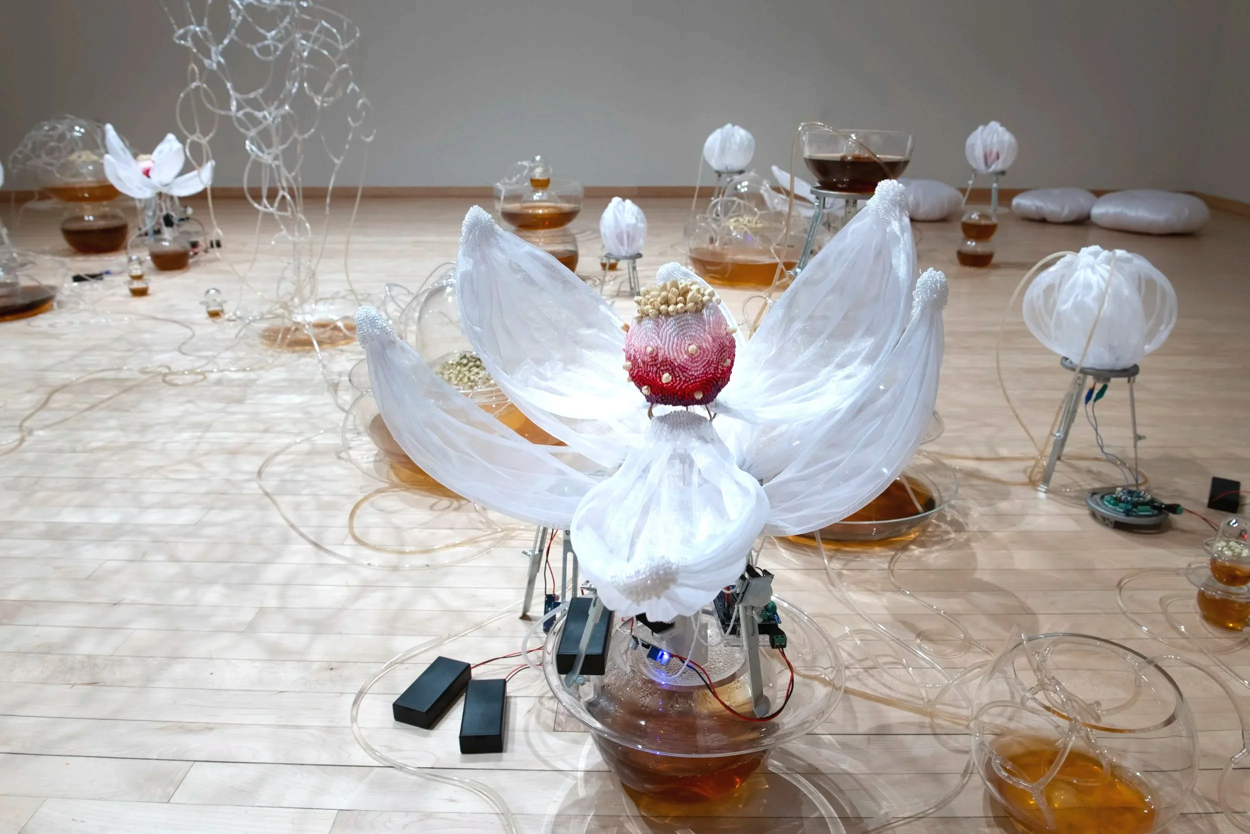 "Jasmine Automata" (detail)
Materials: Dried jasmine flowers, jasmine tea, blown glass, glass seed beads, organza, 
brass, aluminum, silicone, acrylic, PLA, PVC tubing, microcontrollers, electrical wires, 
servo motors, air pumps, peristaltic pumps, 