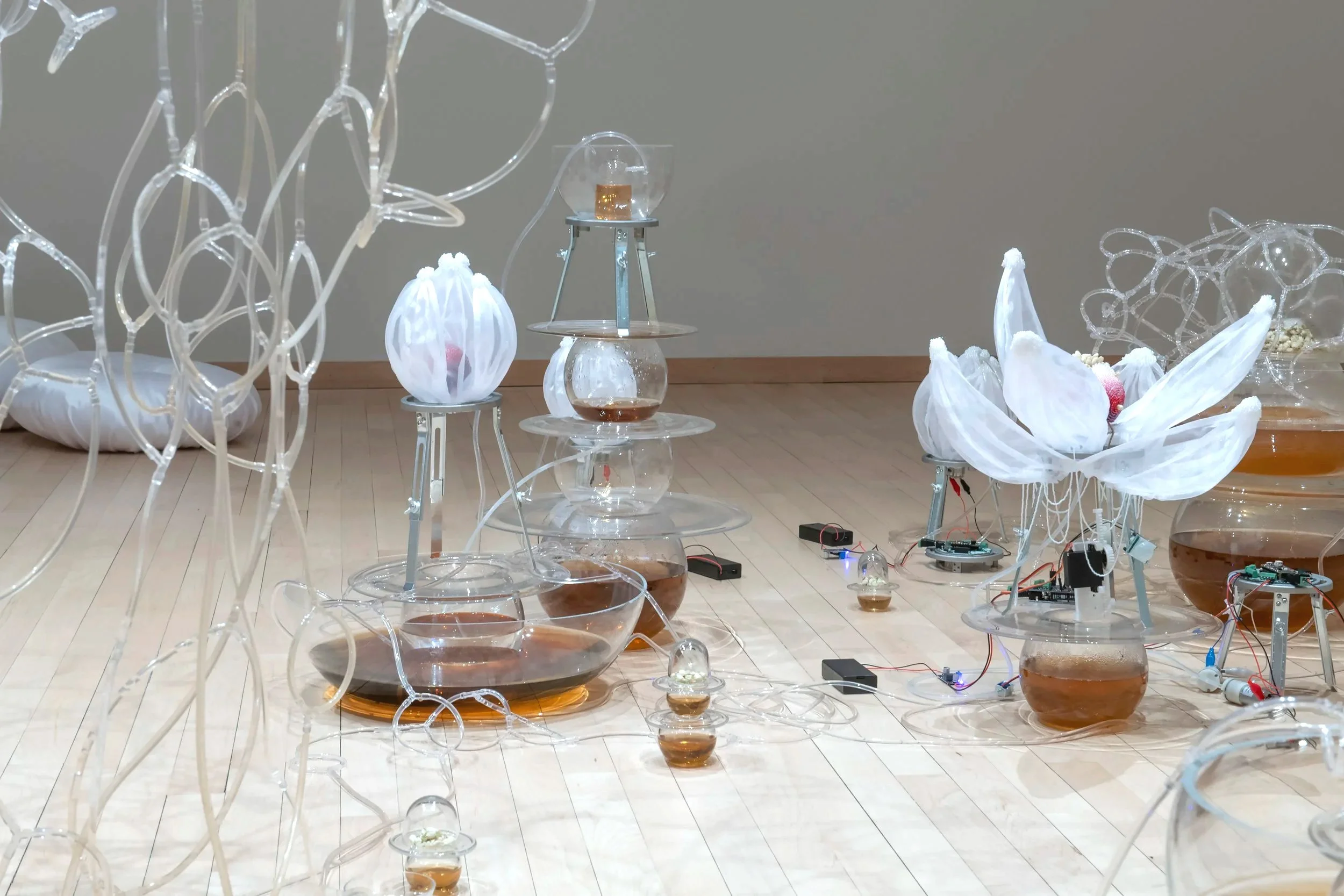 "Jasmine Automata" (detail)
Materials: Dried jasmine flowers, jasmine tea, blown glass, glass seed beads, organza, 
brass, aluminum, silicone, acrylic, PLA, PVC tubing, microcontrollers, electrical wires, 
servo motors, air pumps, peristaltic pumps, 