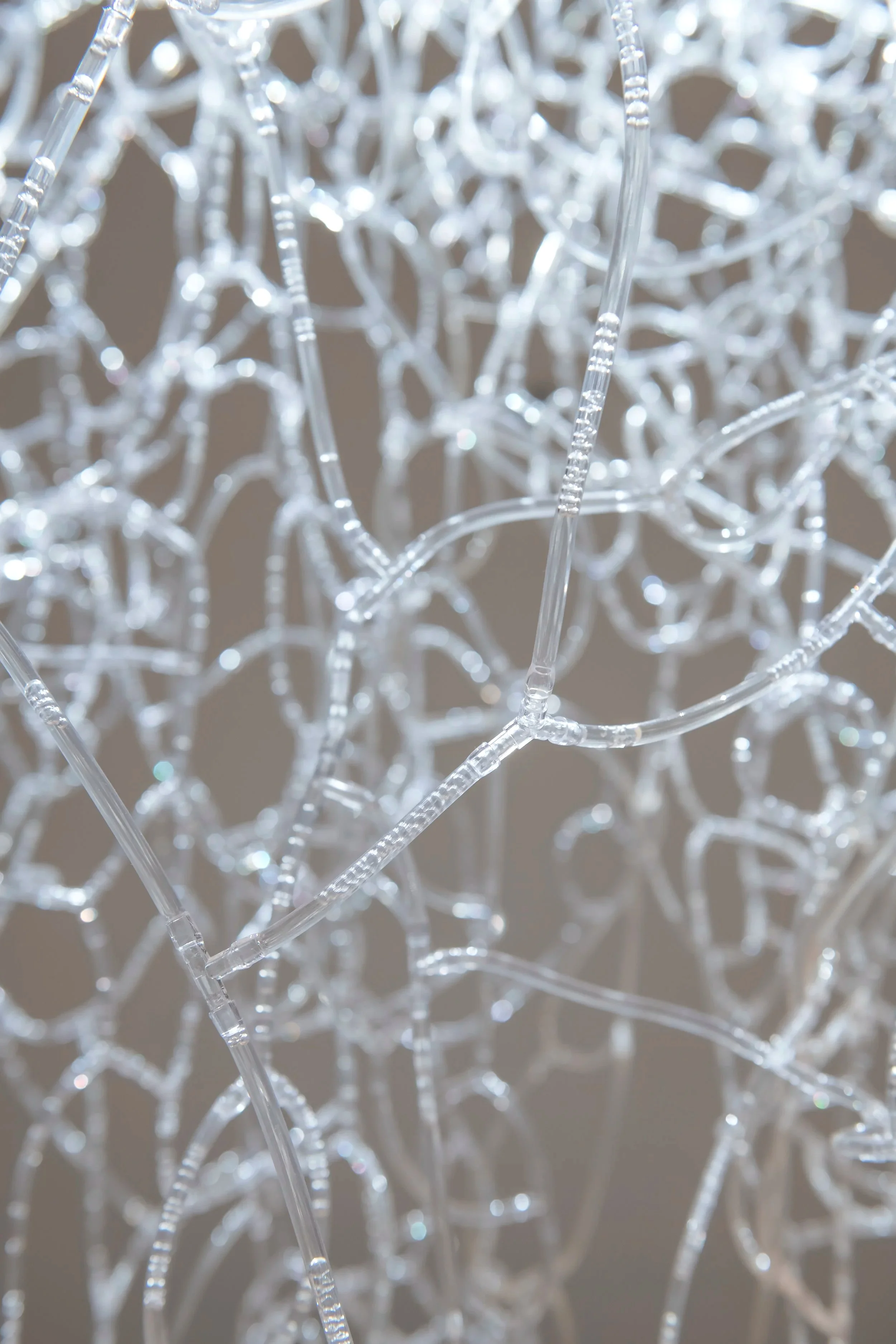 "Jasmine Automata" (detail)
Materials: Jasmine tea, PVC tubing, acrylic
Dimensions variable.
Photo credit: John Carlano