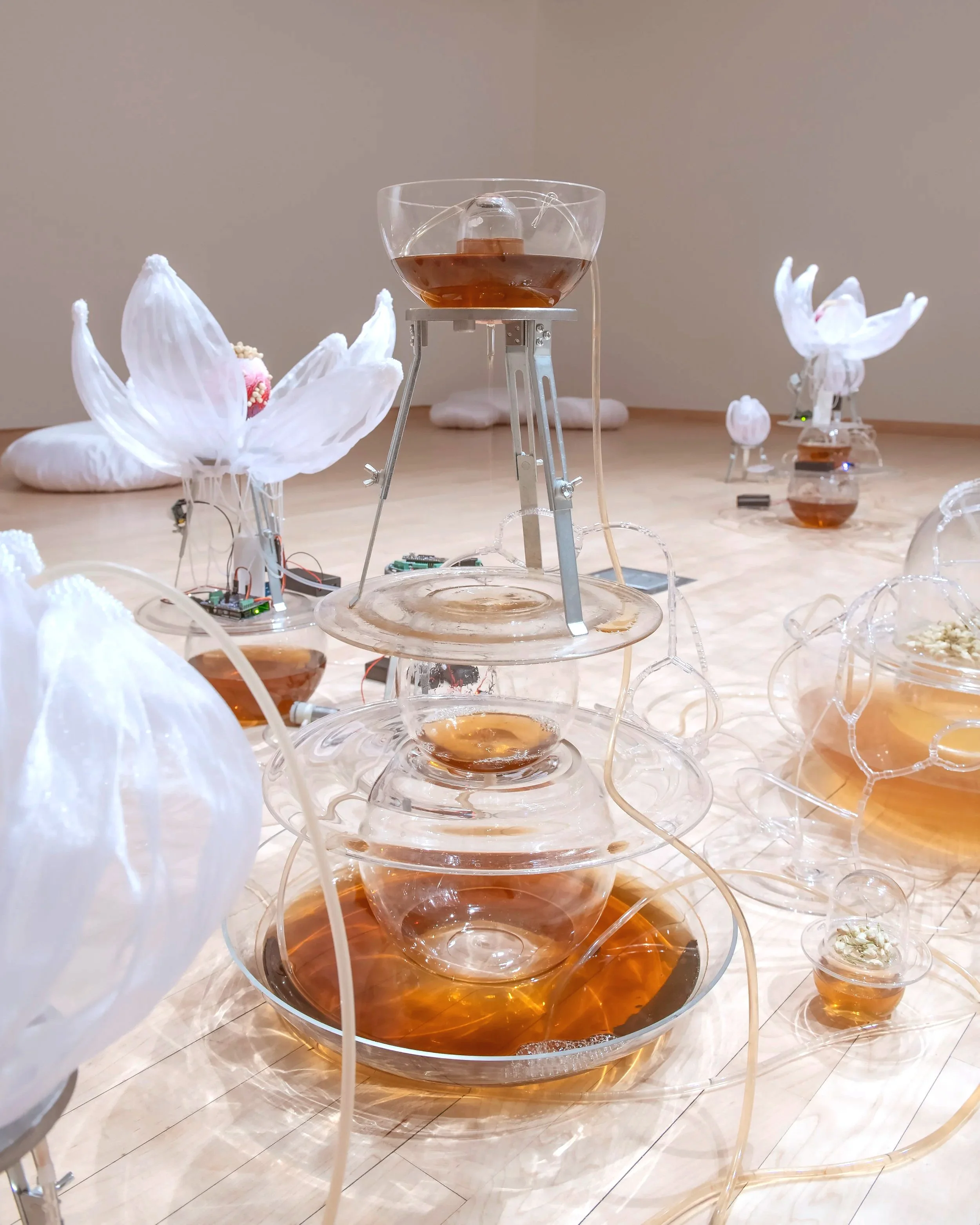 "Jasmine Automata" (detail) 
Materials: Dried jasmine flowers, jasmine tea, blown glass, glass seed beads, organza, 
brass, aluminum, silicone, acrylic, PLA, PVC tubing, microcontrollers, electrical wires, 
servo motors, air pumps, peristaltic pumps,