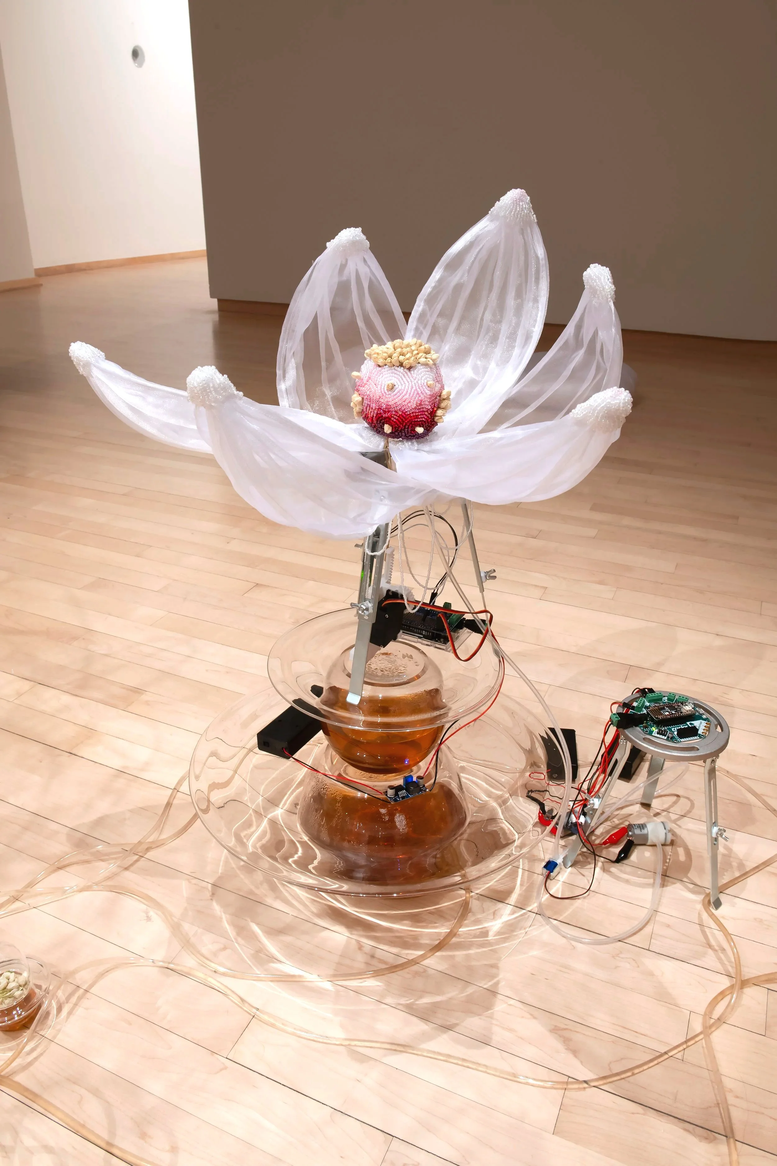 "Jasmine Automata" (detail)
Installation, Materials: Dried jasmine flowers, jasmine tea, blown glass, glass seed 
beads, organza, brass, aluminum, silicone, acrylic, PLA, PVC tubing, microcontrollers, 
electrical wires, servo motors, air pumps, peris