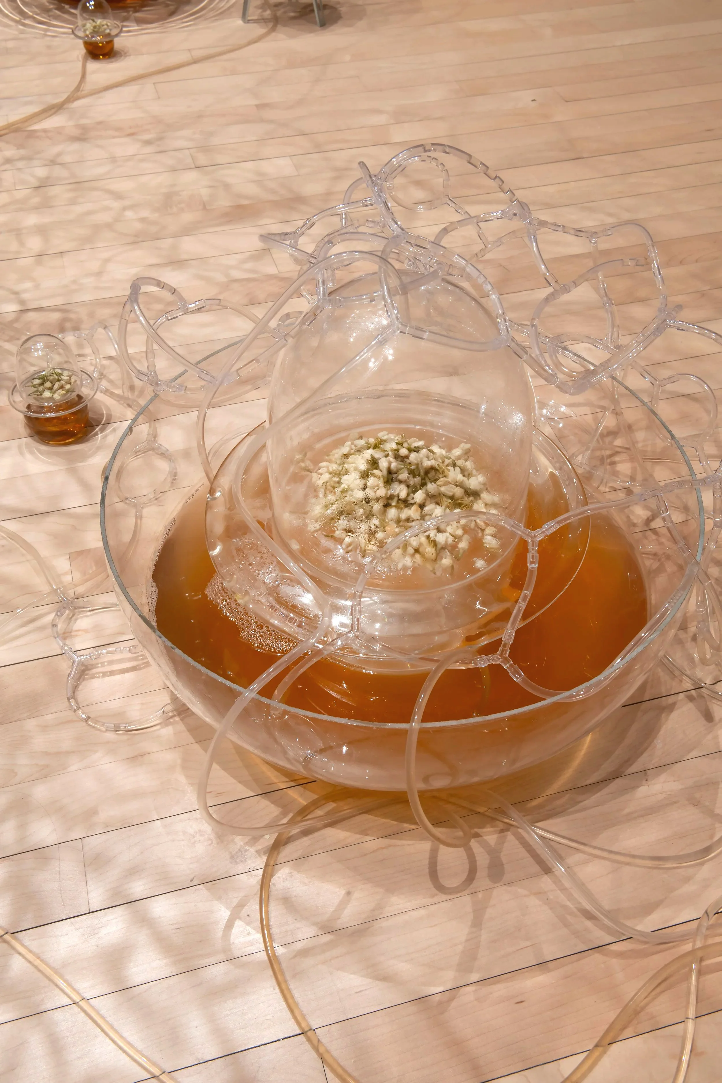 "Jasmine Automata" (detail)
Installation, Materials: Dried jasmine flowers, jasmine tea, blown glass, glass seed 
beads, organza, brass, aluminum, silicone, acrylic, PLA, PVC tubing, microcontrollers, 
electrical wires, servo motors, air pumps, peris