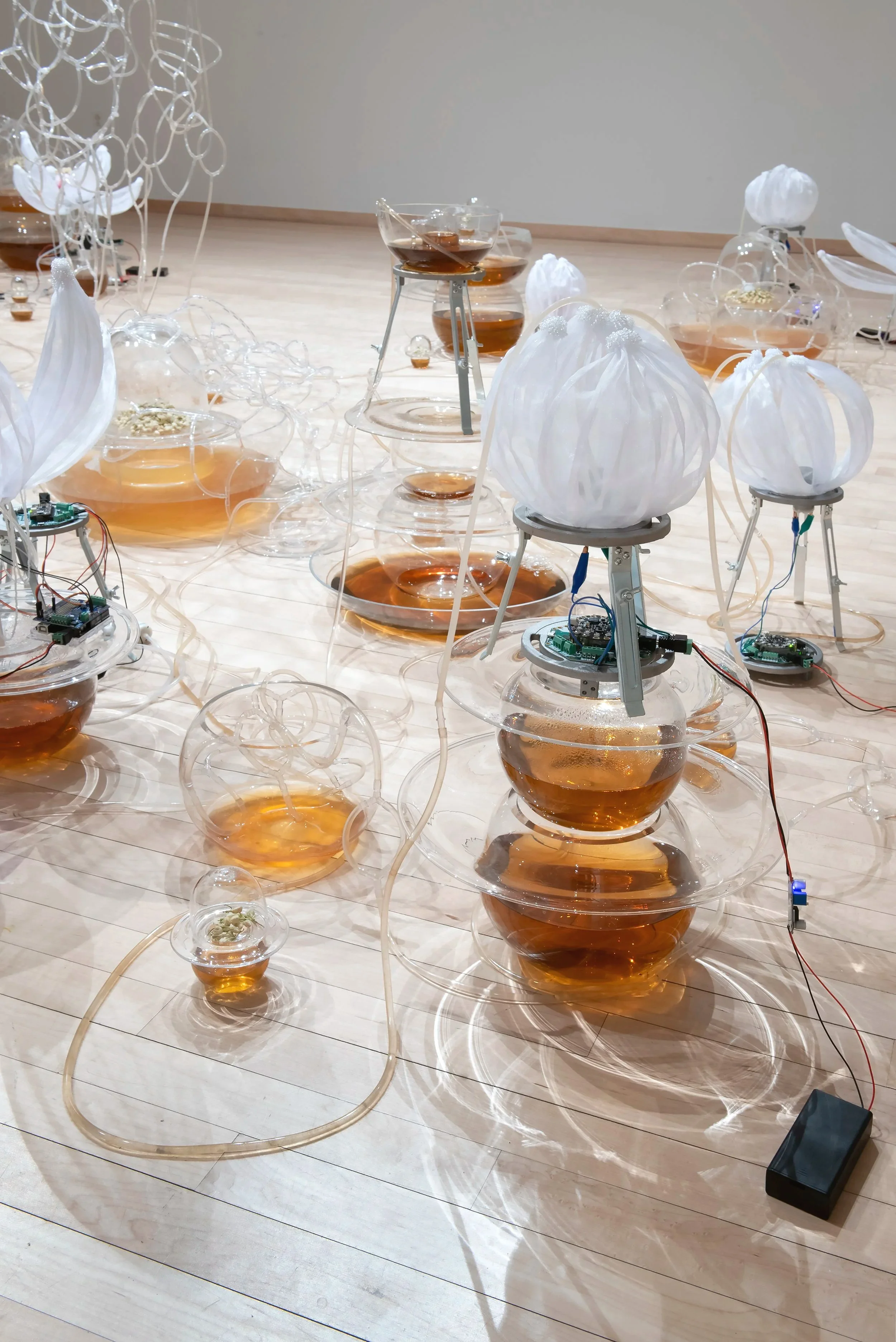 "Jasmine Automata" (detail)
Installation, Materials: Dried jasmine flowers, jasmine tea, blown glass, glass seed 
beads, organza, brass, aluminum, silicone, acrylic, PLA, PVC tubing, microcontrollers, 
electrical wires, servo motors, air pumps, peris