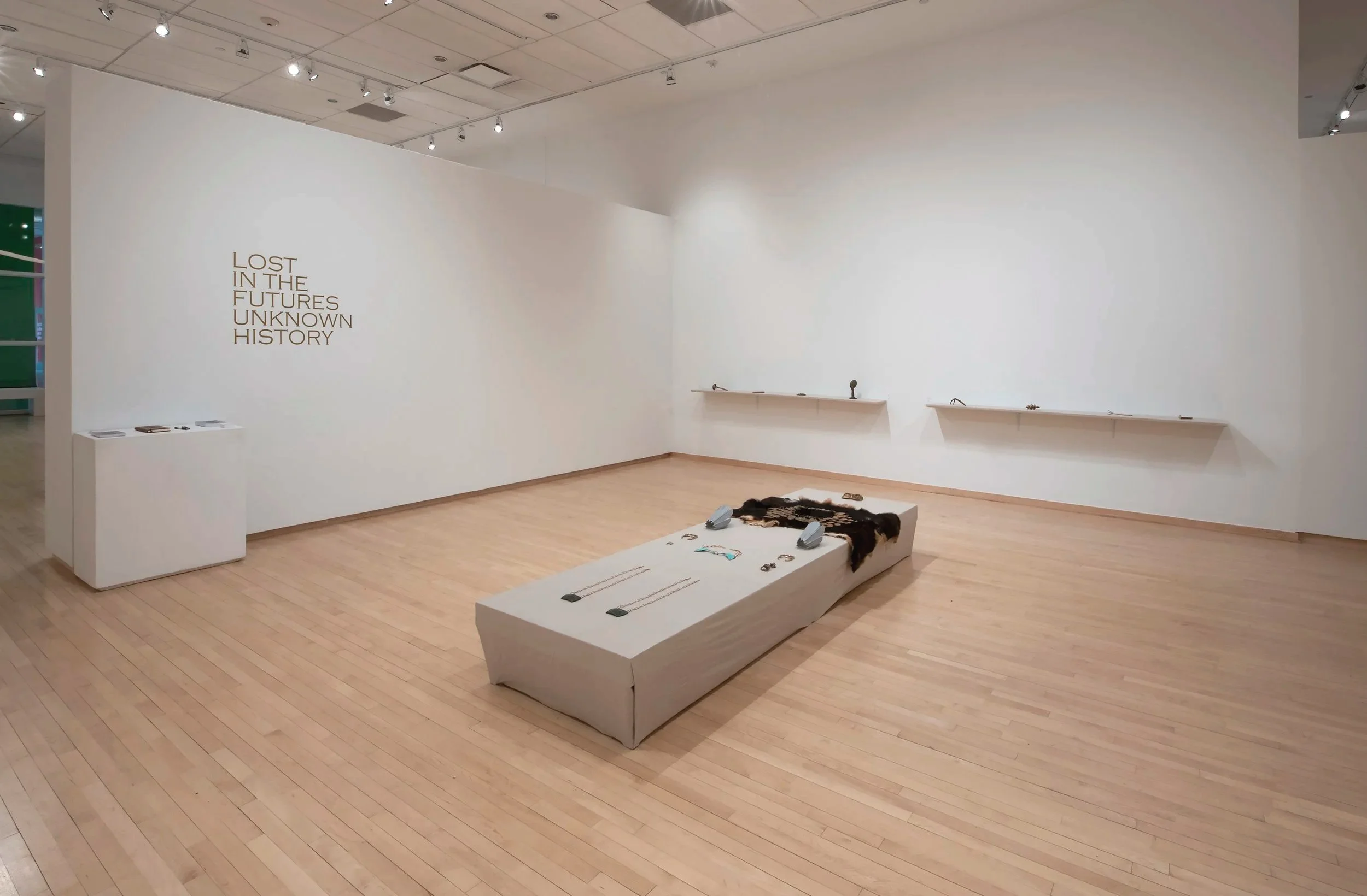 "Lost In The Futures of Unknown History," Installation View, Photo Credit: John Carlano