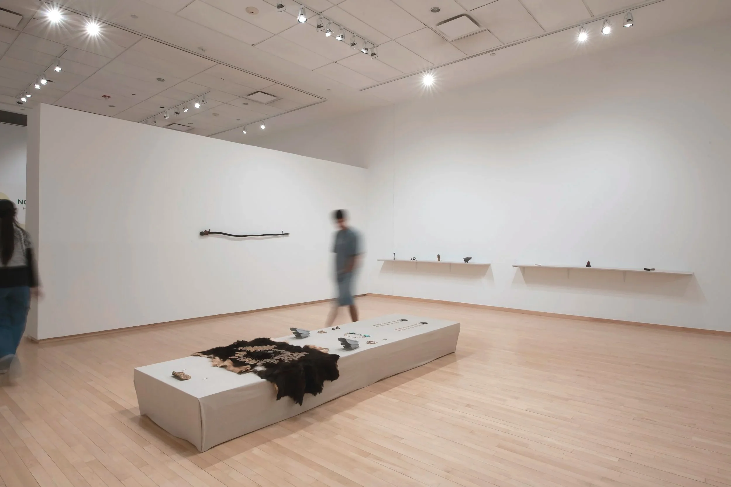 "Lost In The Futures of Unknown History," Installation View, Photo Credit: John Carlano